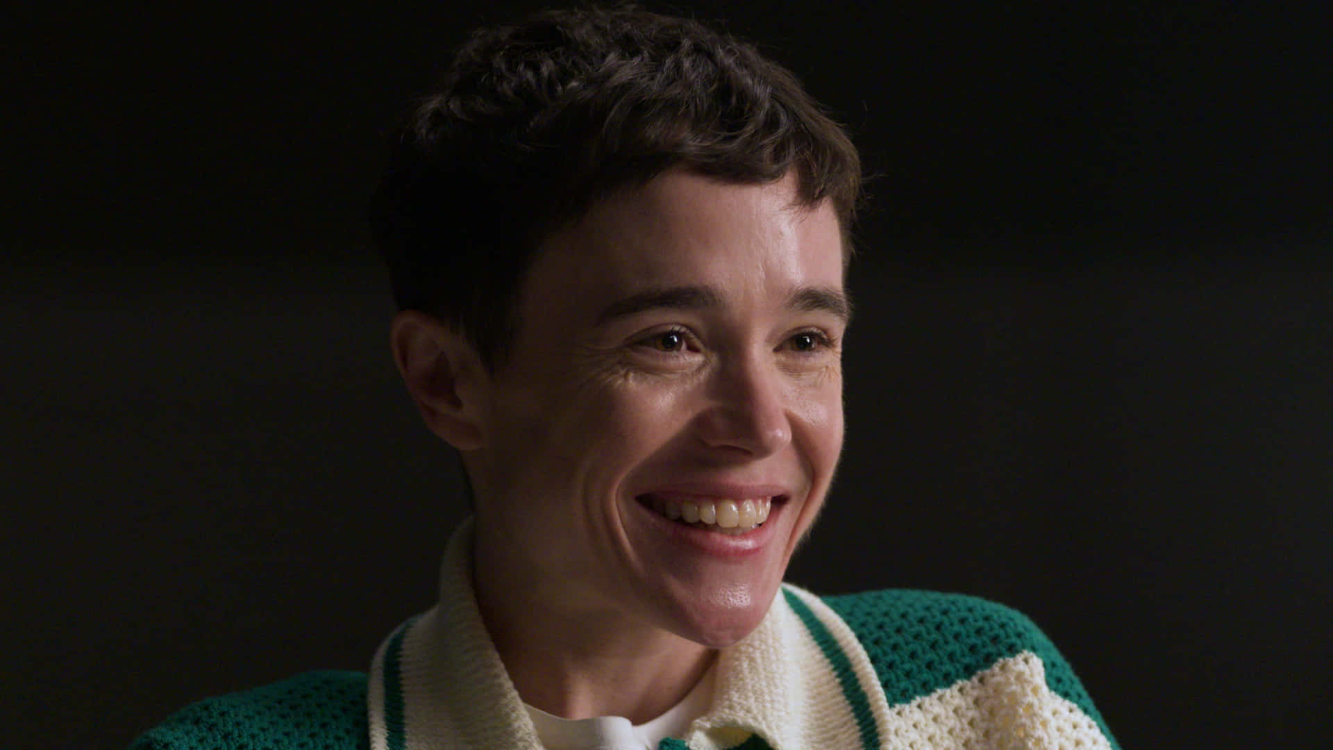 Elliot Page, short dark hair, green and cream knit sweater, Full HD Desktop Wallpaper