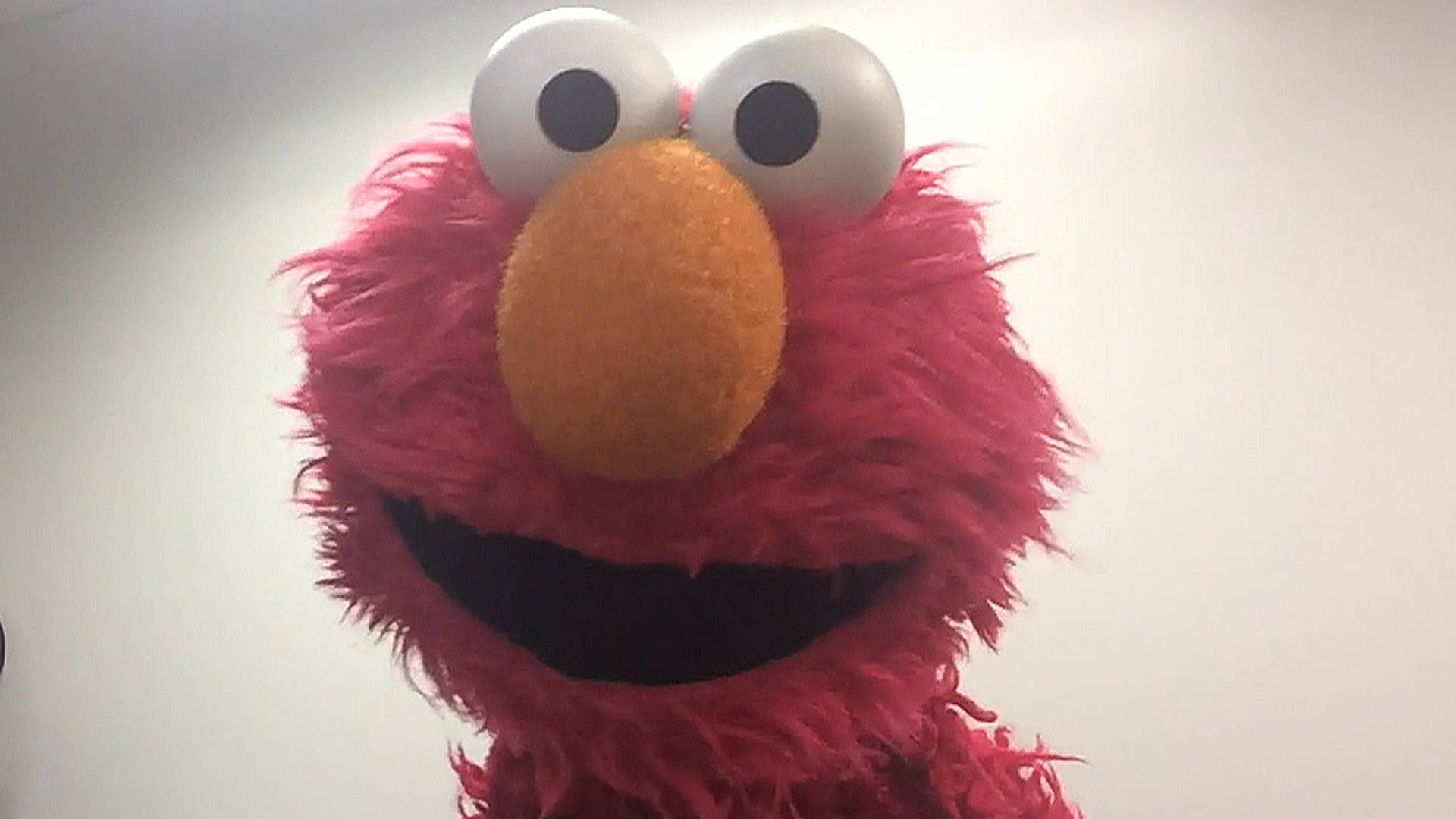 Elmo, pink furry face, big white eyes, Full HD Desktop Wallpaper