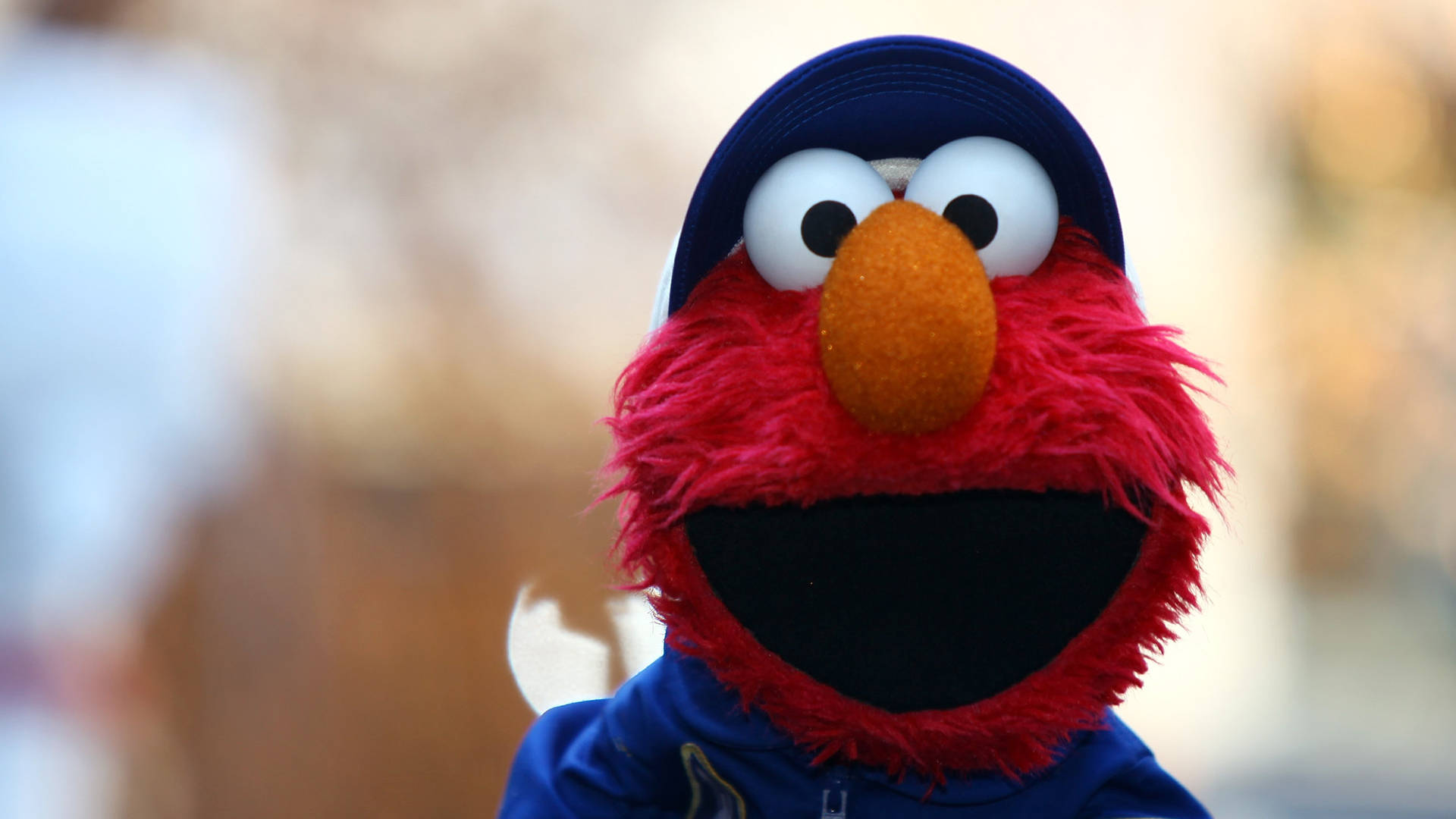 Elmo, blue cap, hoodie, Full HD Desktop Wallpaper