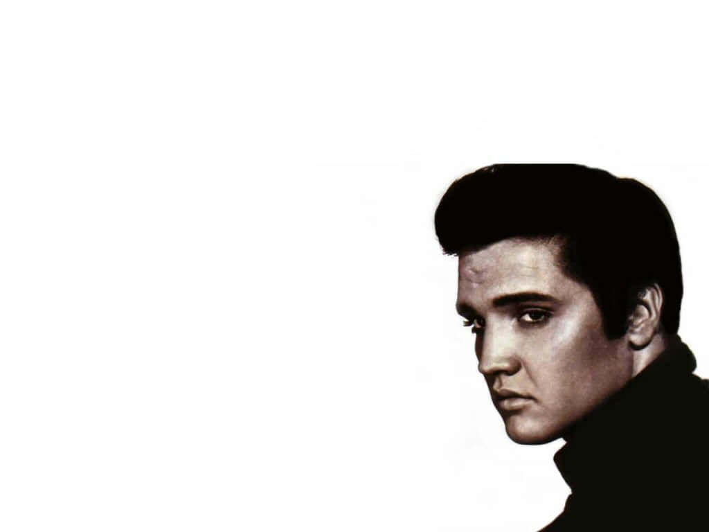 Elvis Presley, black and white, portrait, SD Desktop Wallpaper
