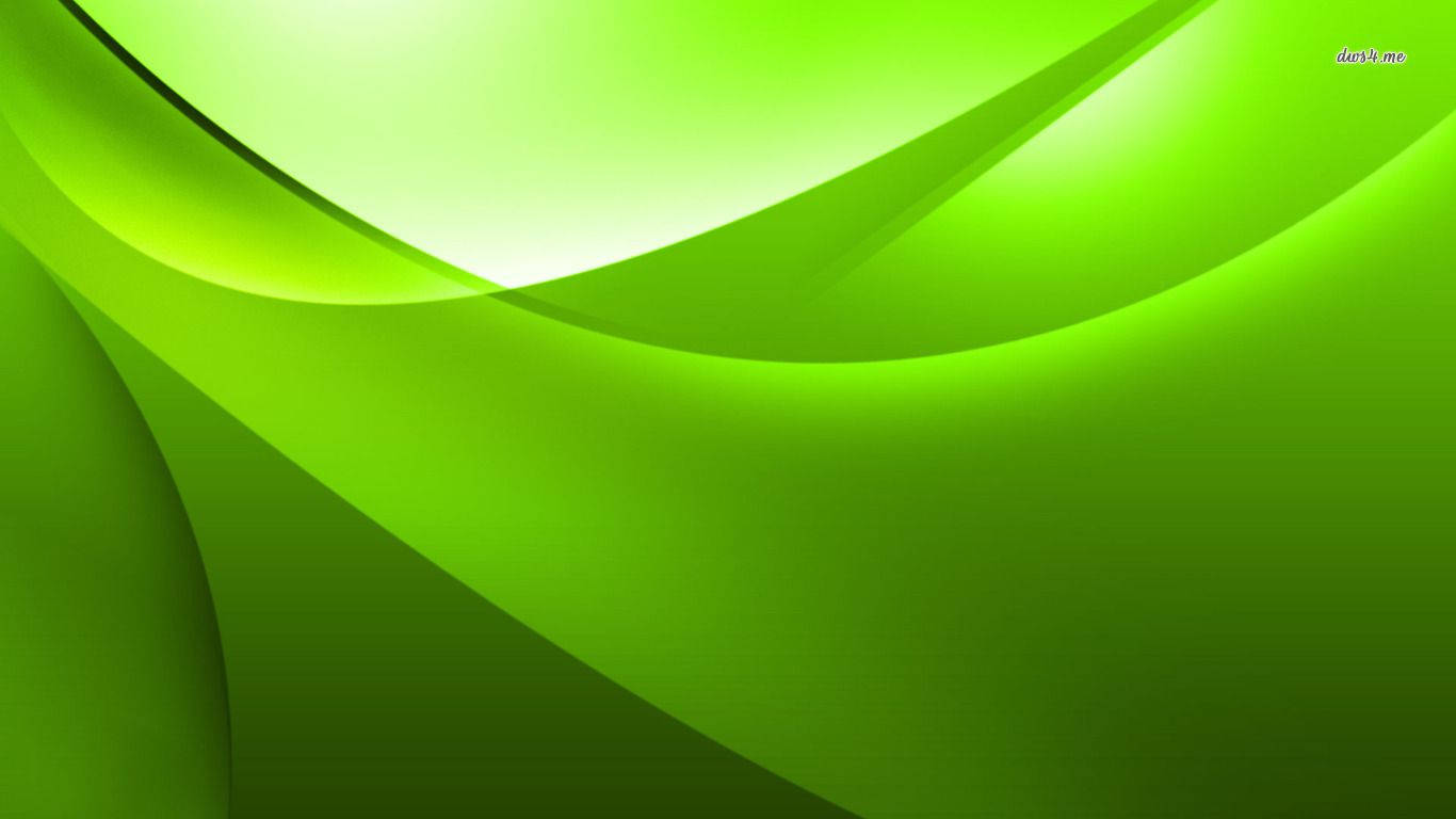 Lush Green Vector Background, vibrant green, abstract waves, HD Desktop Wallpaper