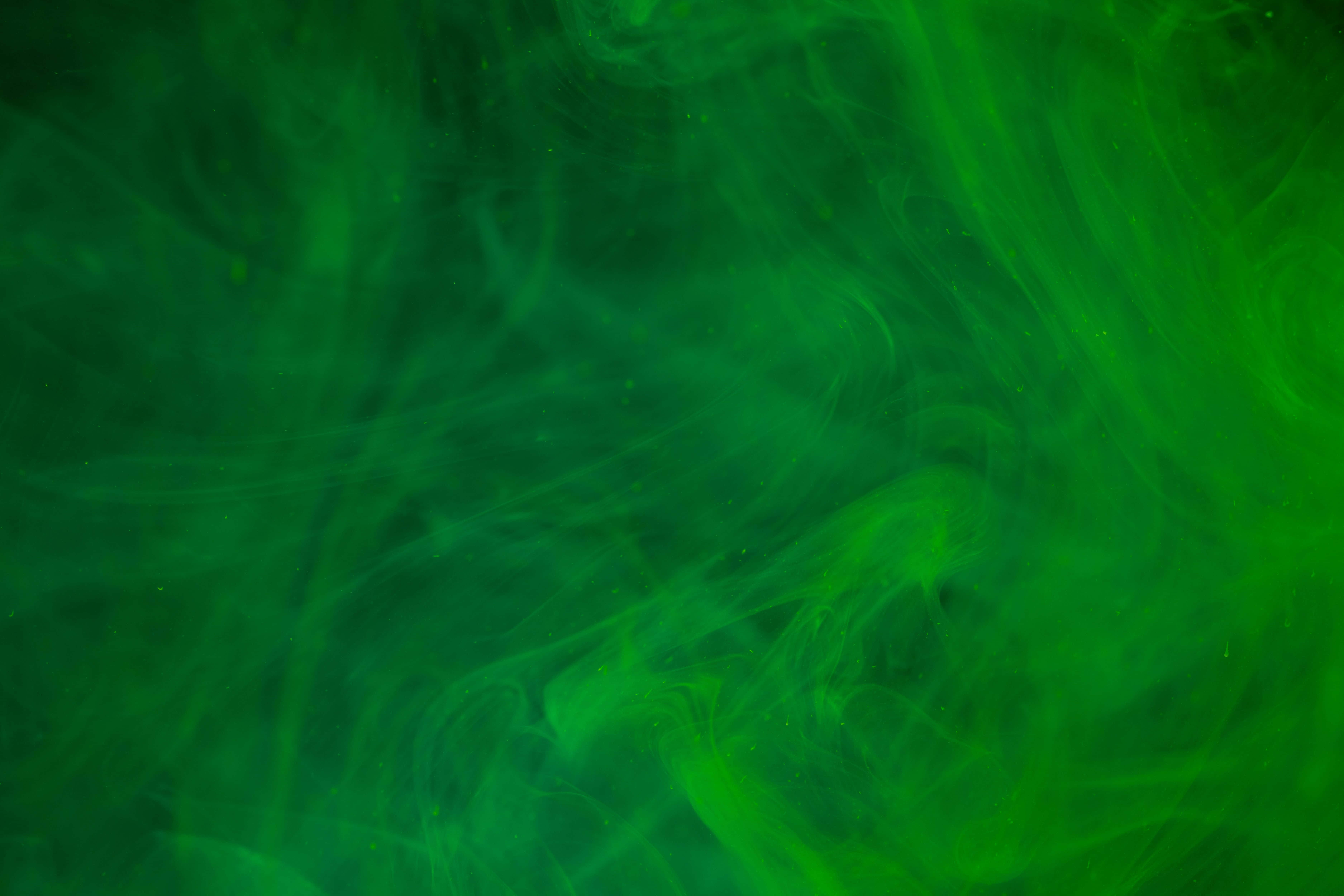 emerald green, ink swirls, fluid motion, 5K Desktop Wallpaper