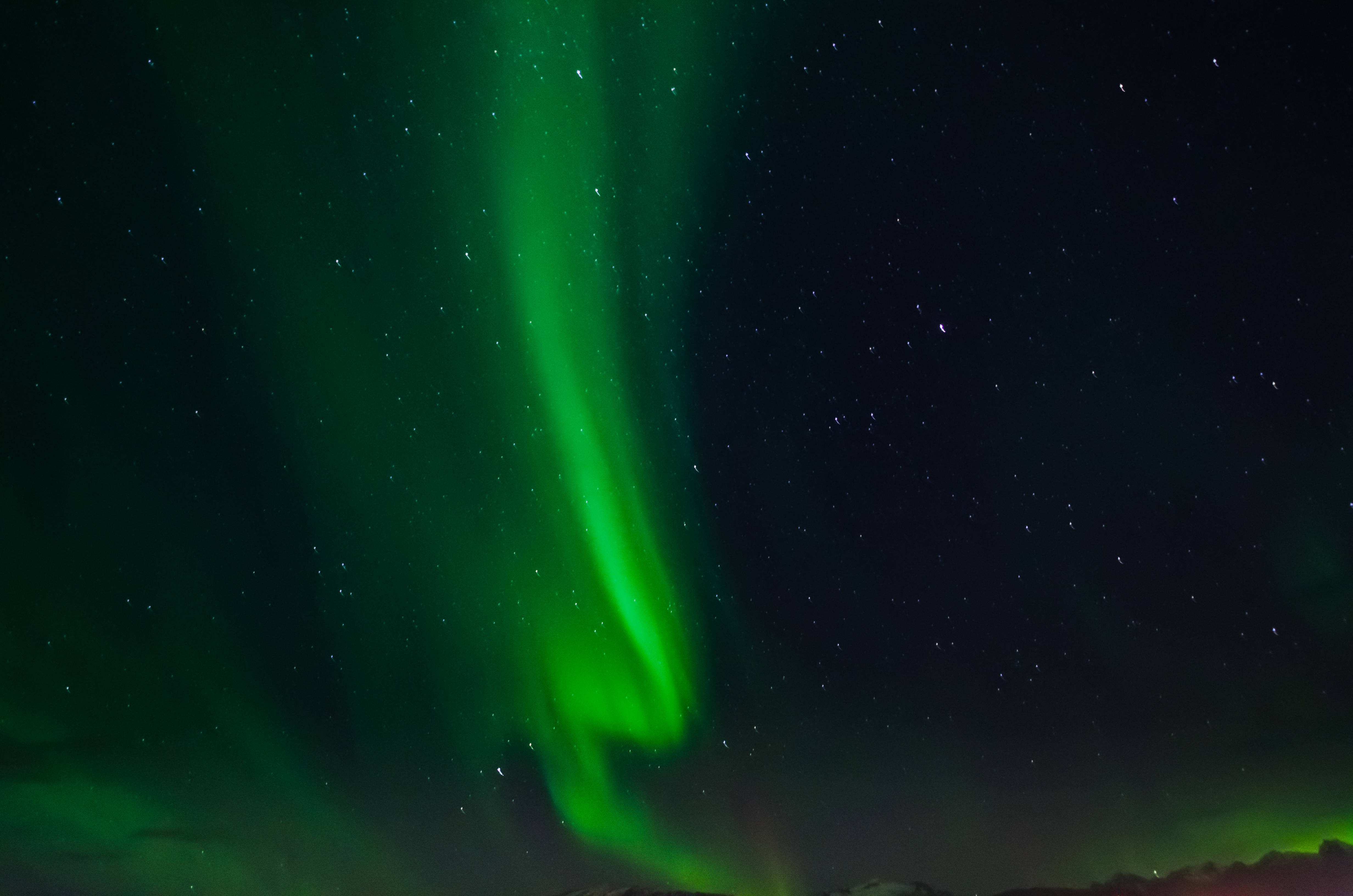 Emerald Green Aurora, aurora borealis, starry night sky, 4K Desktop Wallpaper