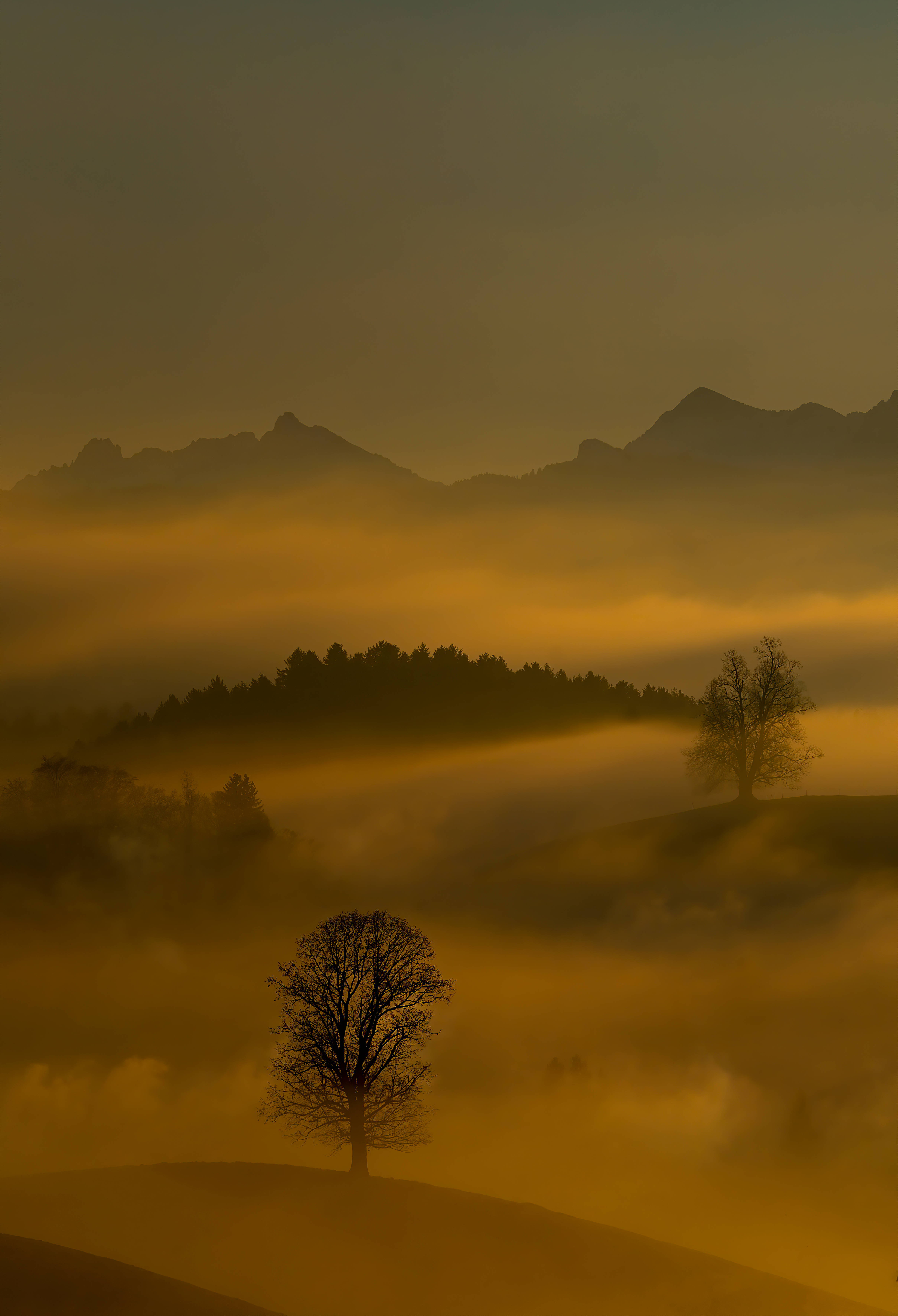 Emerald Green, mist, mountain, 5K Phone Wallpaper