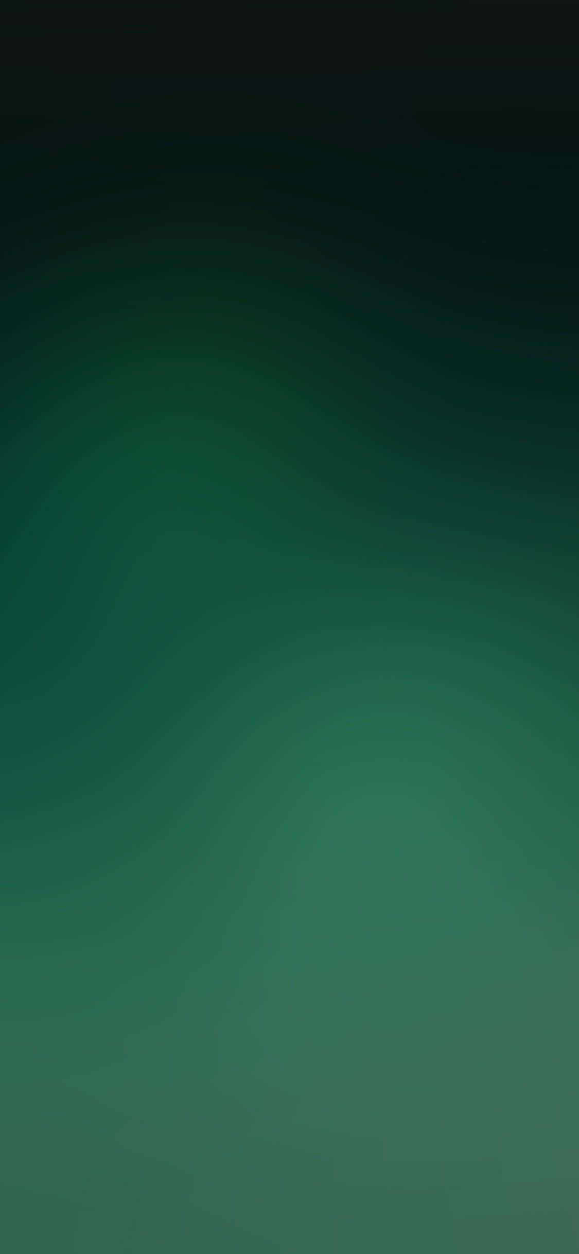Emerald Green, 1125 x 2436, forest, Full HD Phone Wallpaper