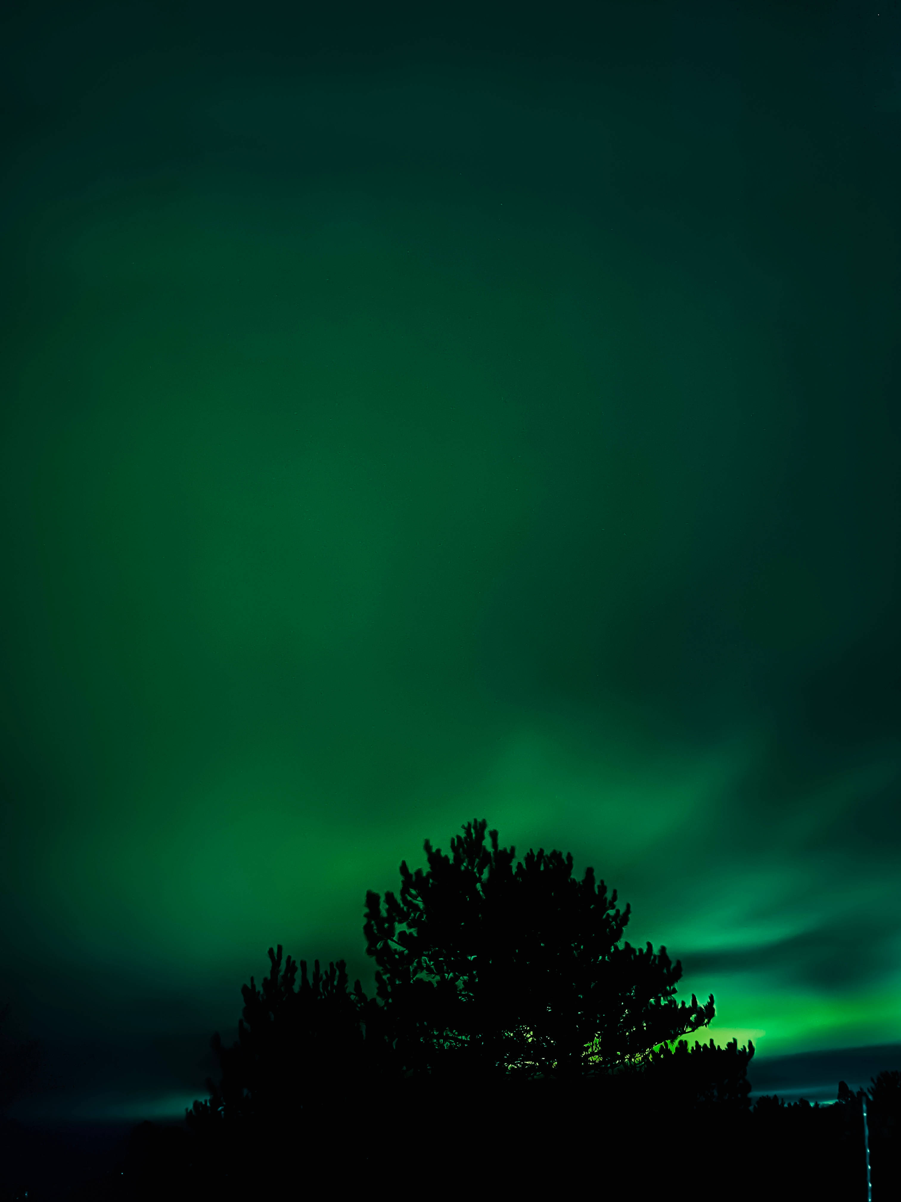emerald green sky, vibrant green aurora borealis, night sky, 4K Phone Wallpaper