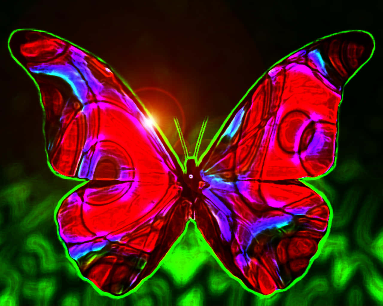 Emerging Butterfly, neon butterfly, glowing red purple and blue wings, HD Desktop Wallpaper