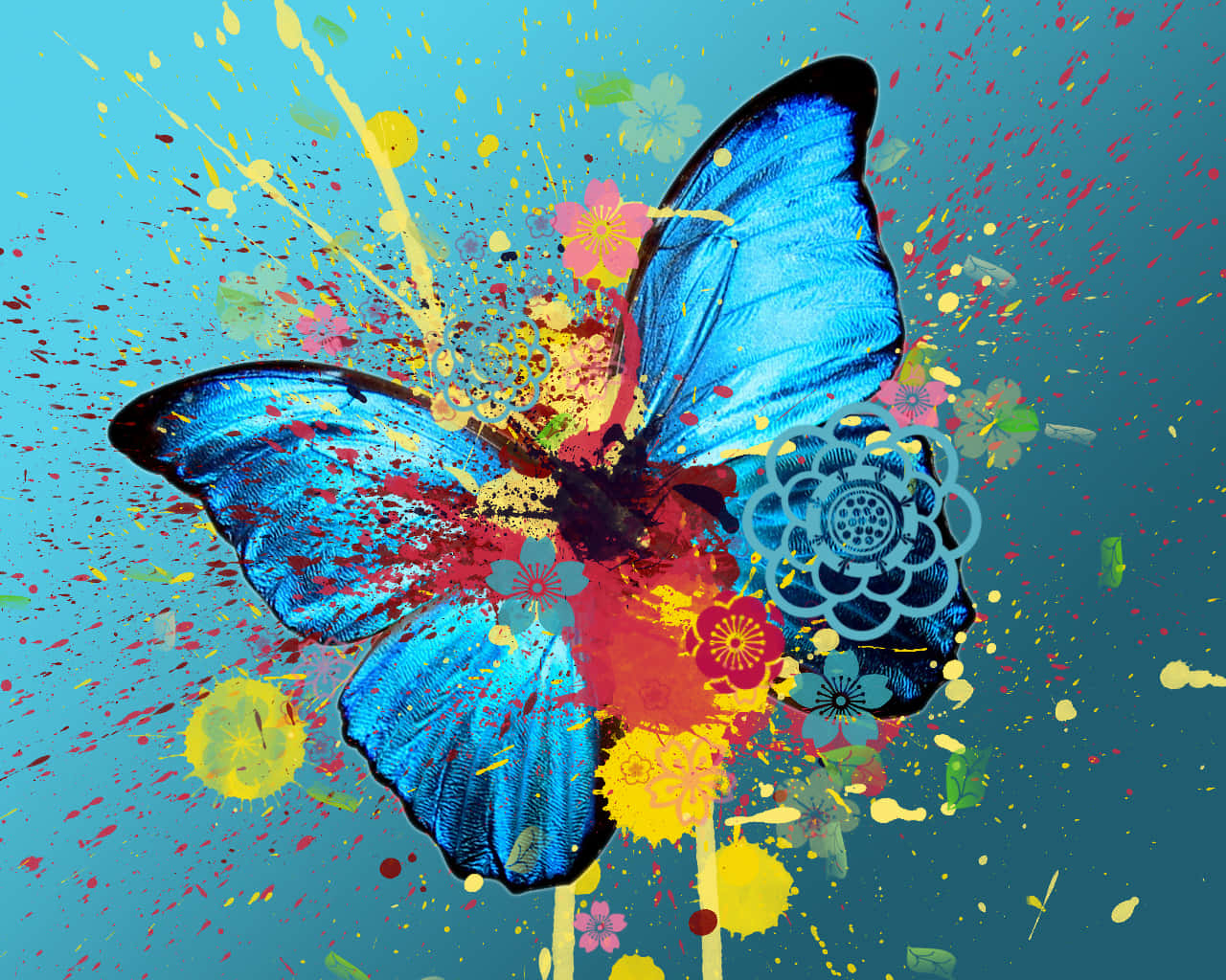 Emerging Butterfly, vibrant blue butterfly, intricate wings, HD Desktop Wallpaper