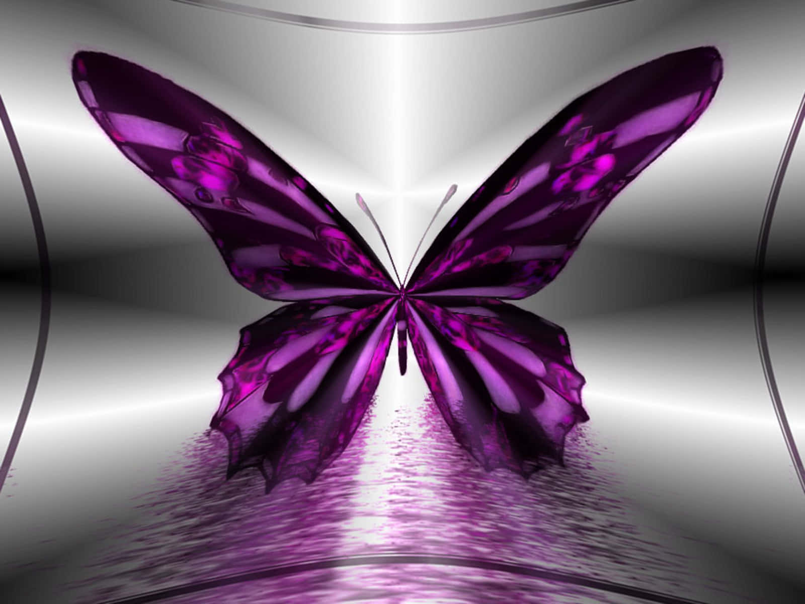 Emerging Butterfly, glossy purple, iridescent wings, HD Desktop Wallpaper