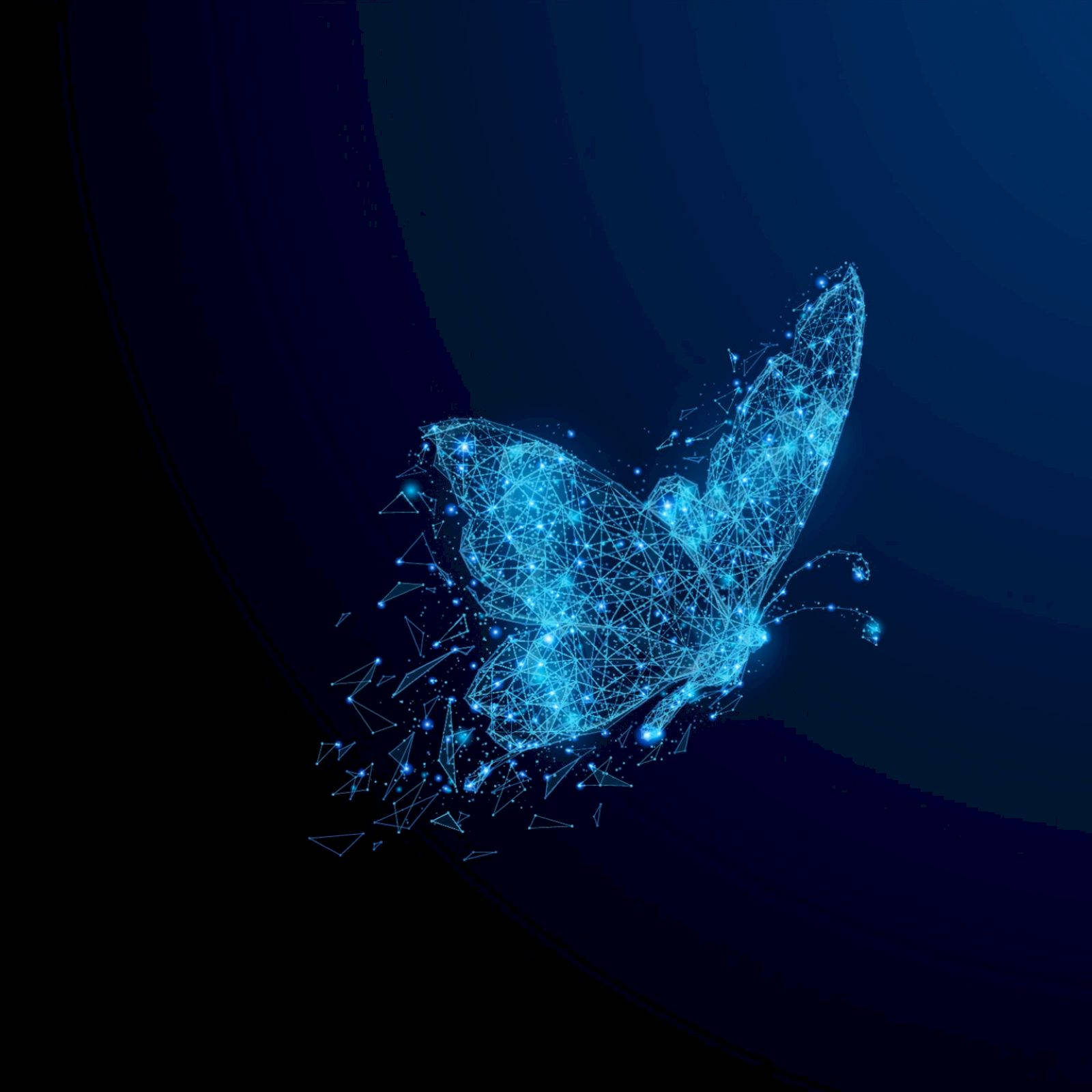 butterfly, glowing blue, polygonal, HD Desktop Wallpaper