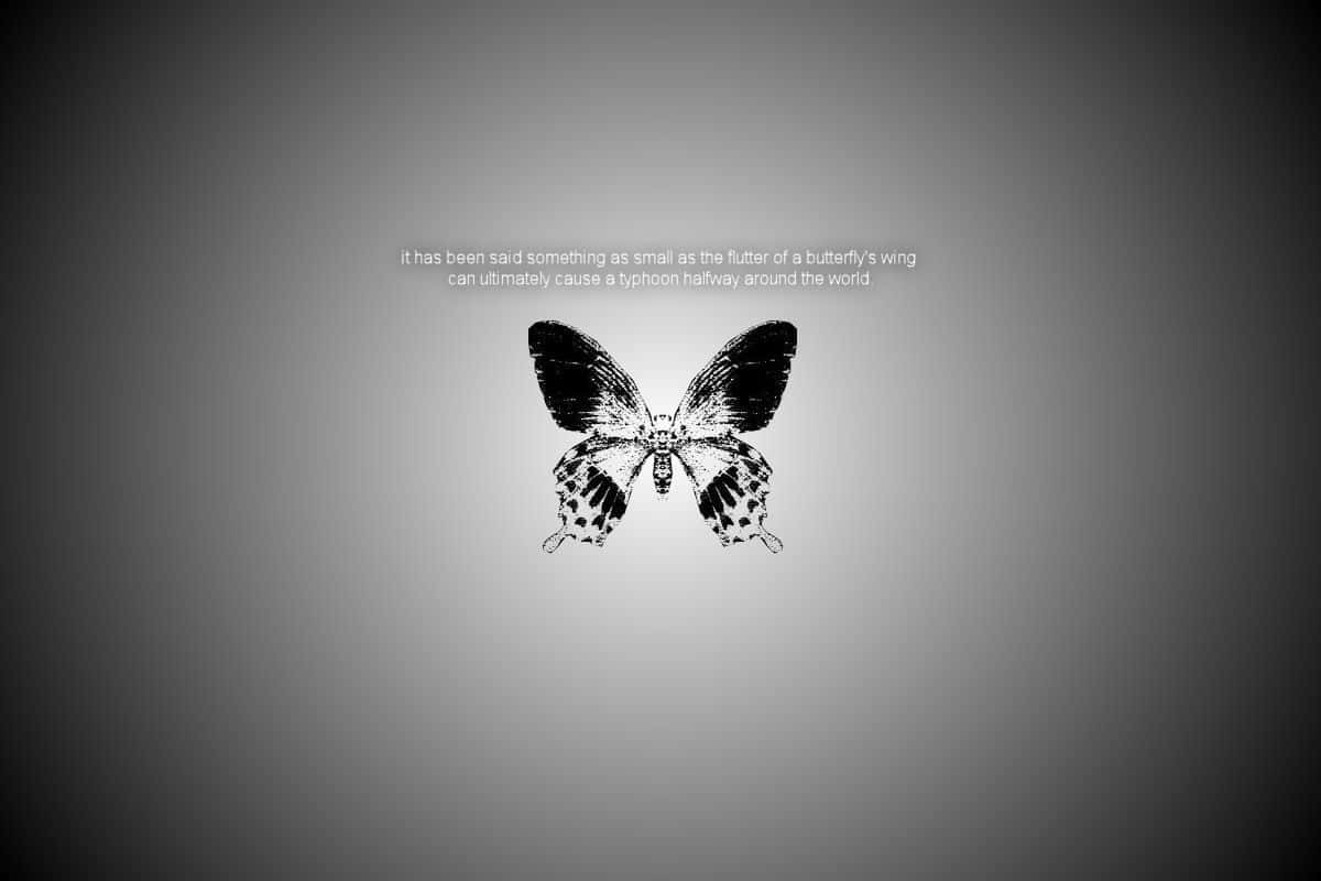 butterfly effect, black and white butterfly, gradient gray background, SD Desktop Wallpaper