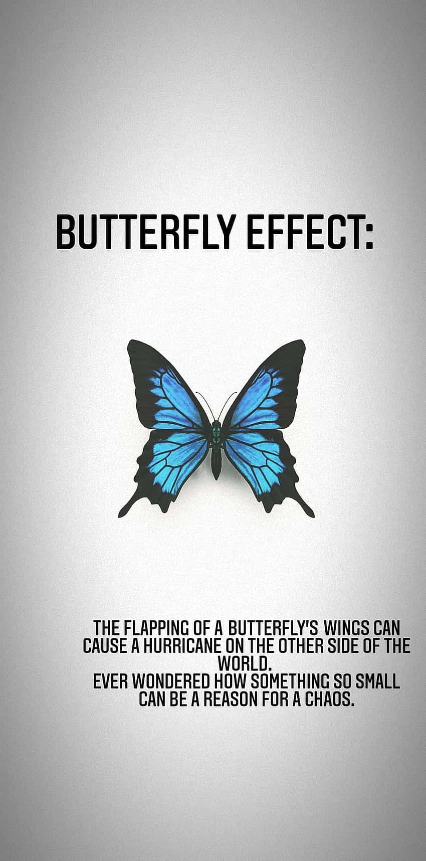 butterfly effect concept, blue and black butterfly, gray background, HD Phone Wallpaper