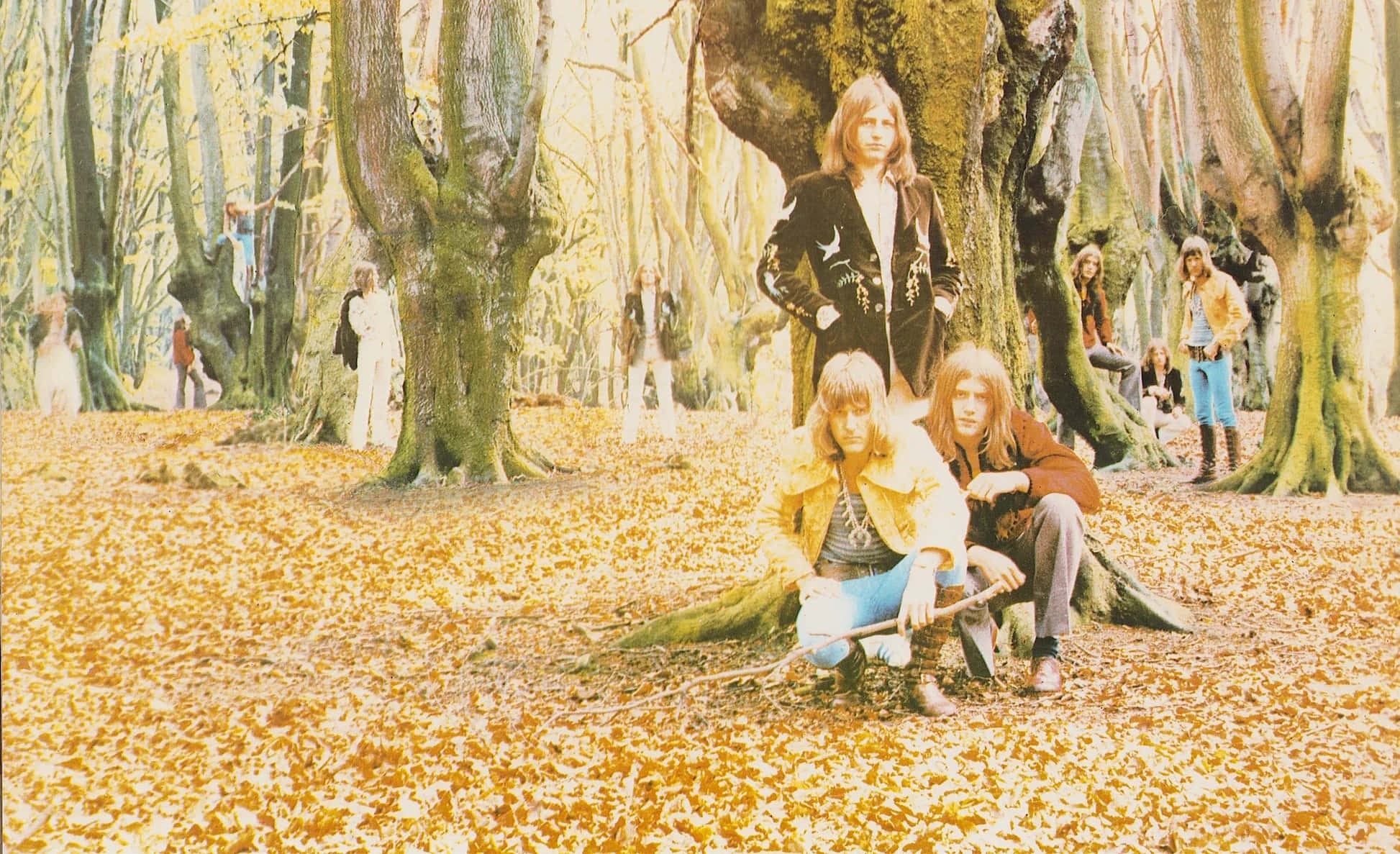 E L P, forest gathering, vintage photo, Full HD Desktop Wallpaper
