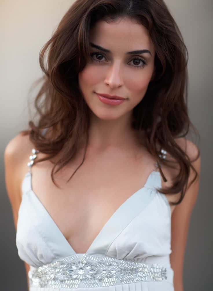 Emmanuelle Vaugier, wavy brown hair, light blue dress, SD Phone Wallpaper