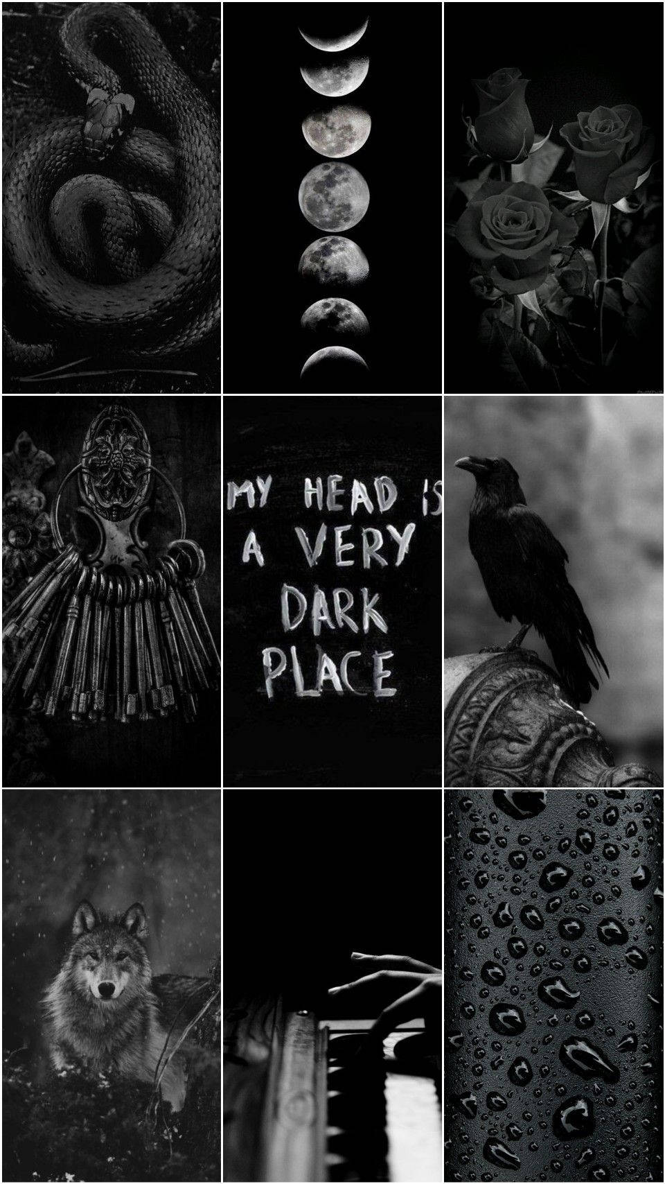 coiled snake, moon phases, roses, HD Phone Wallpaper
