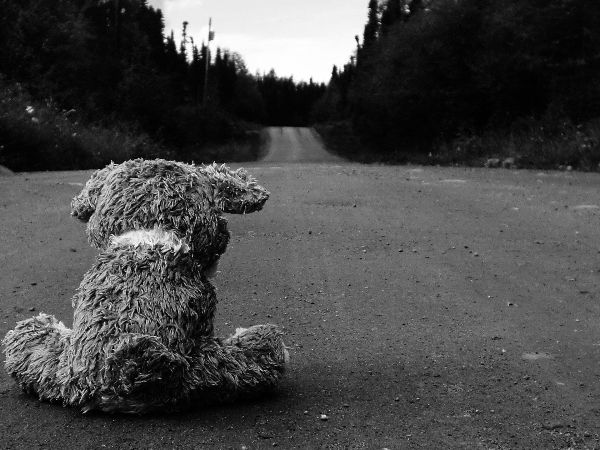 greyscale teddy bear, desolate road, dense forest, Full HD Desktop Wallpaper