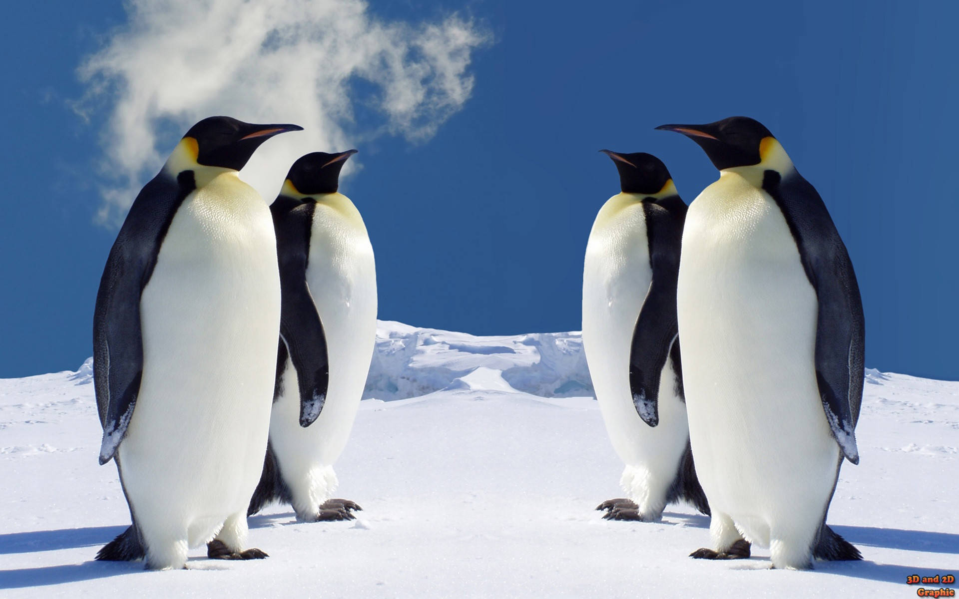 emperor penguin, snowy mountain, bright sunlight, Full HD Desktop Wallpaper