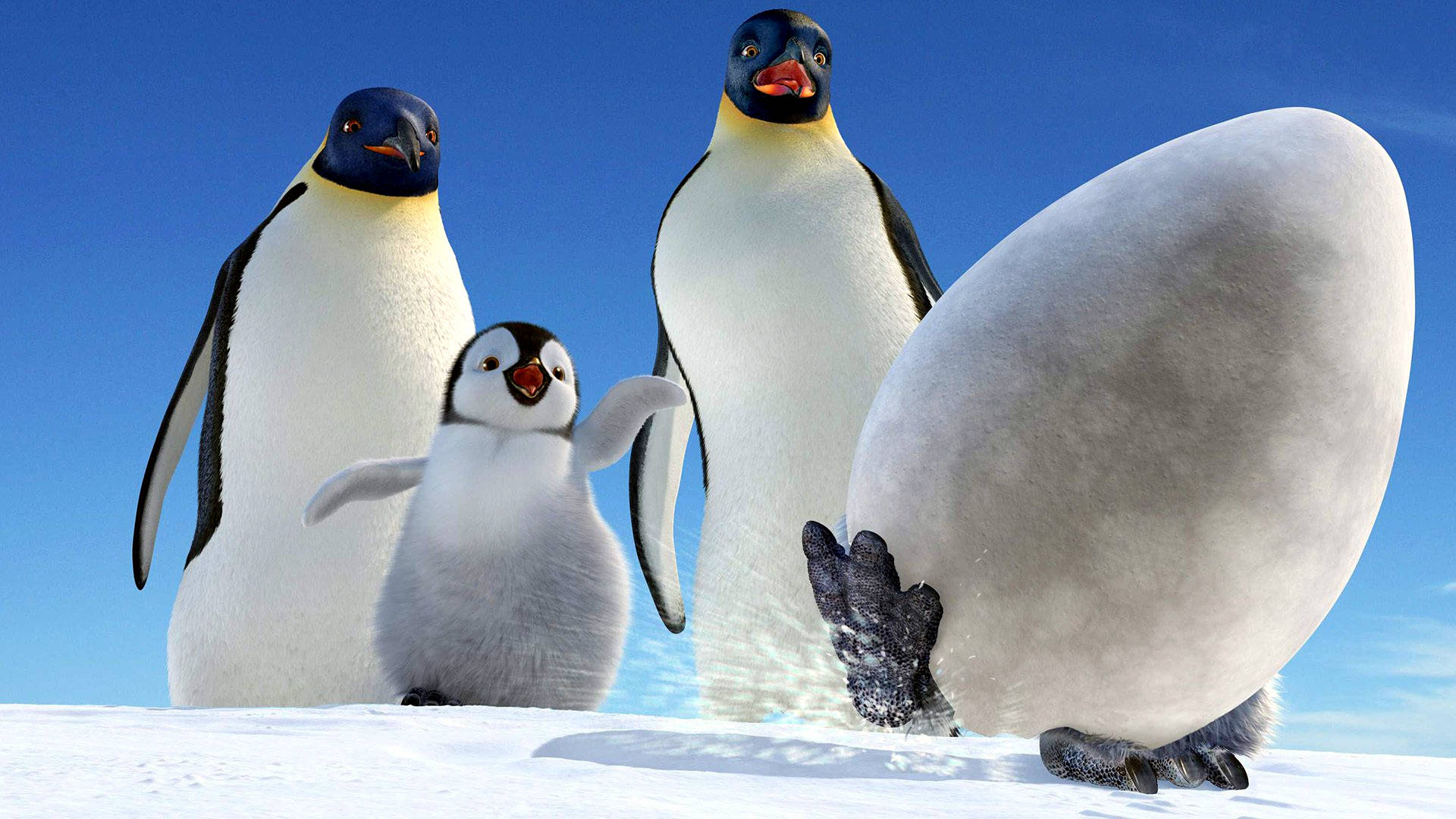 Emperor Penguin, chick, snowy ground, Full HD Desktop Wallpaper