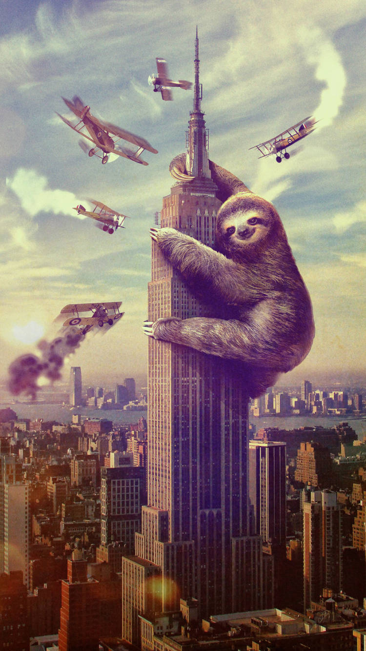 Empire State Building, sloth, vintage biplanes, HD Phone Wallpaper