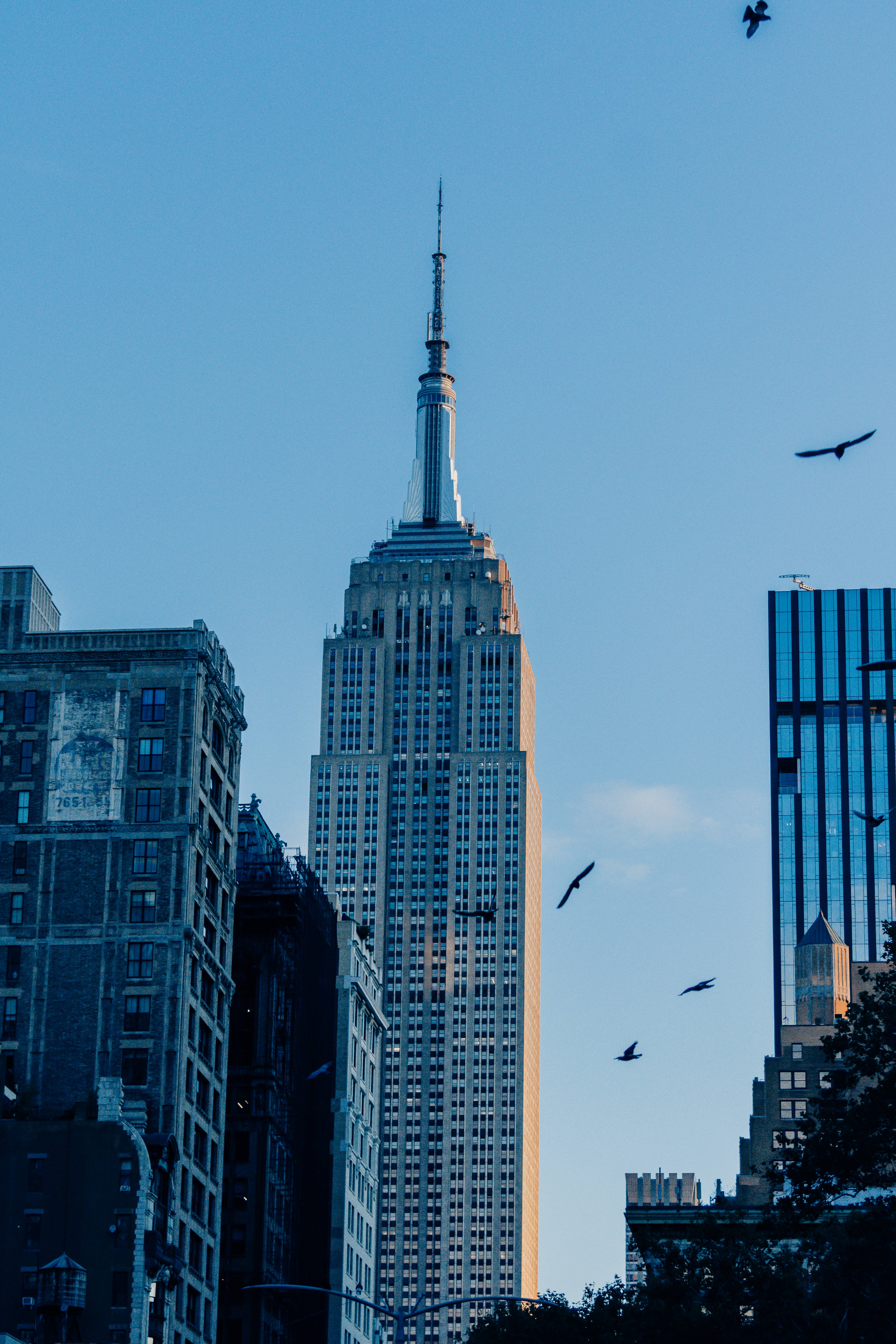 Empire State Building, cityscape, clear blue sky, 5K Phone Wallpaper