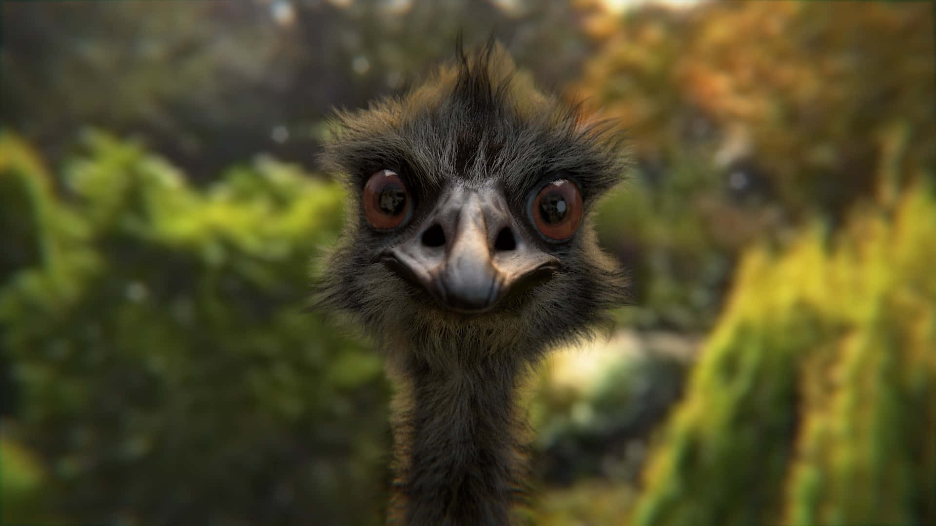 emu, large brown eyes, dark feathers, Full HD Desktop Wallpaper