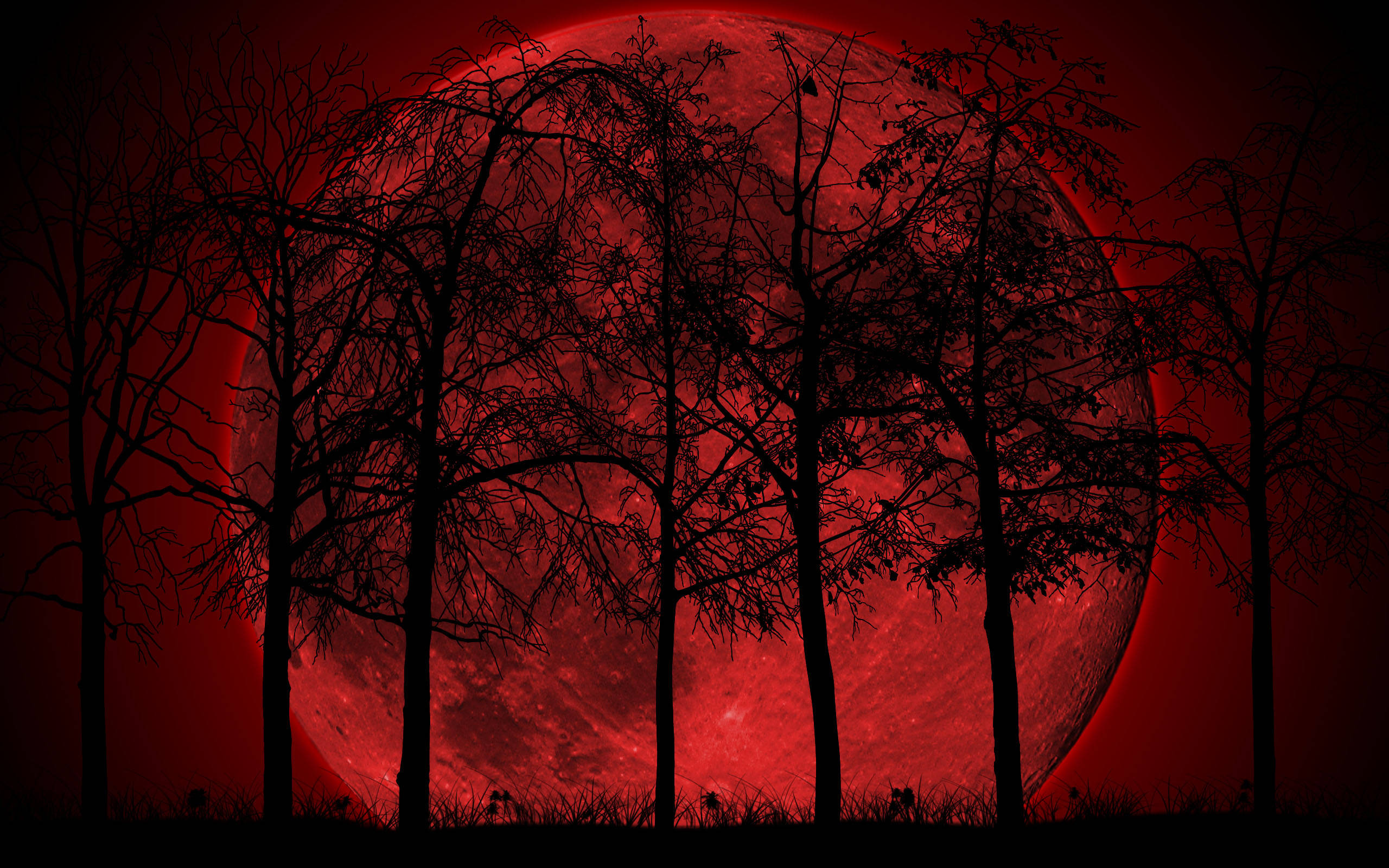 Red Moon Forest, glowing red moon, crimson glow, 2K Desktop Wallpaper