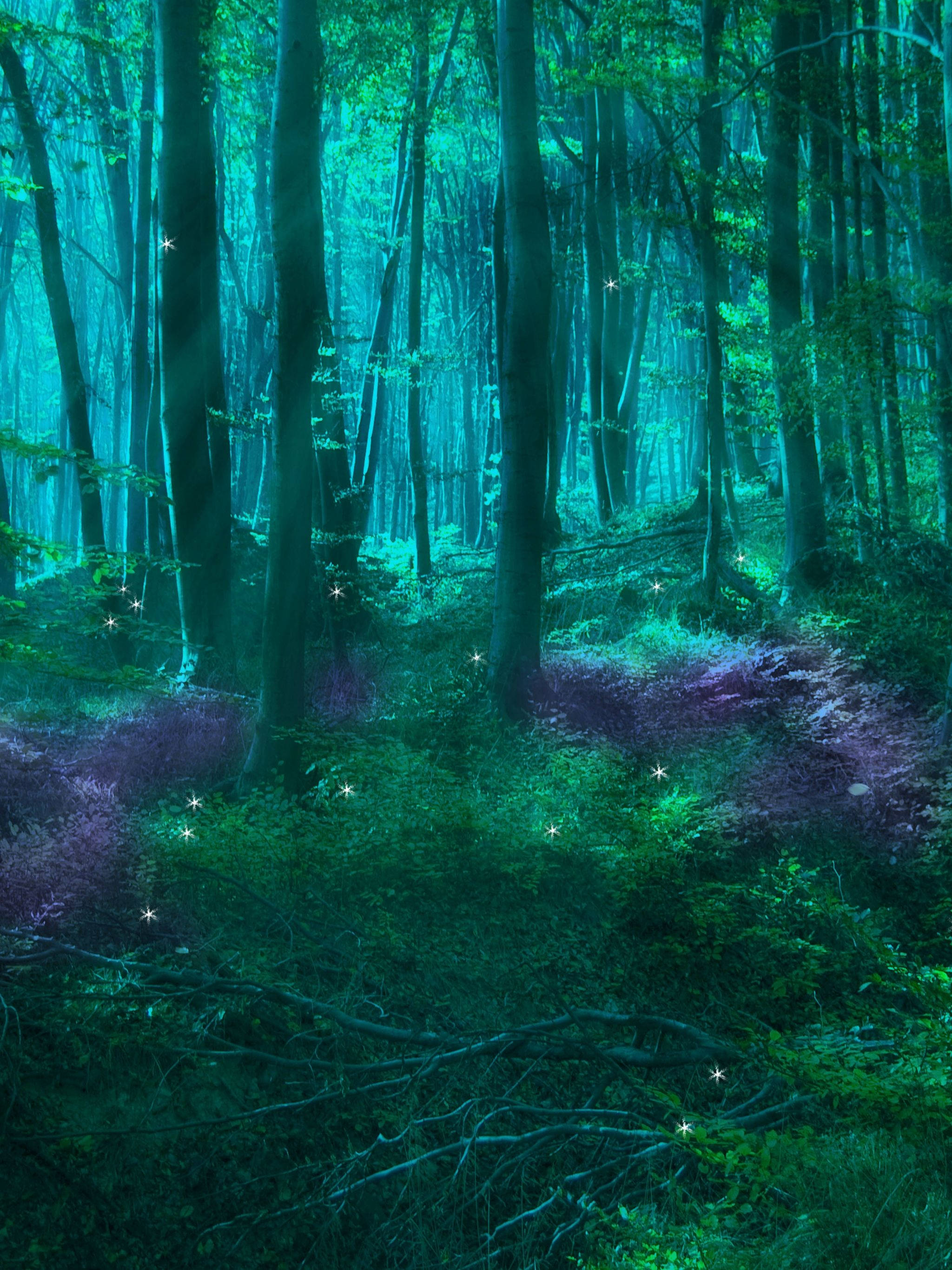 relaxing enchanted forest, glowing teal light, sparkling particles, 2K Phone Wallpaper