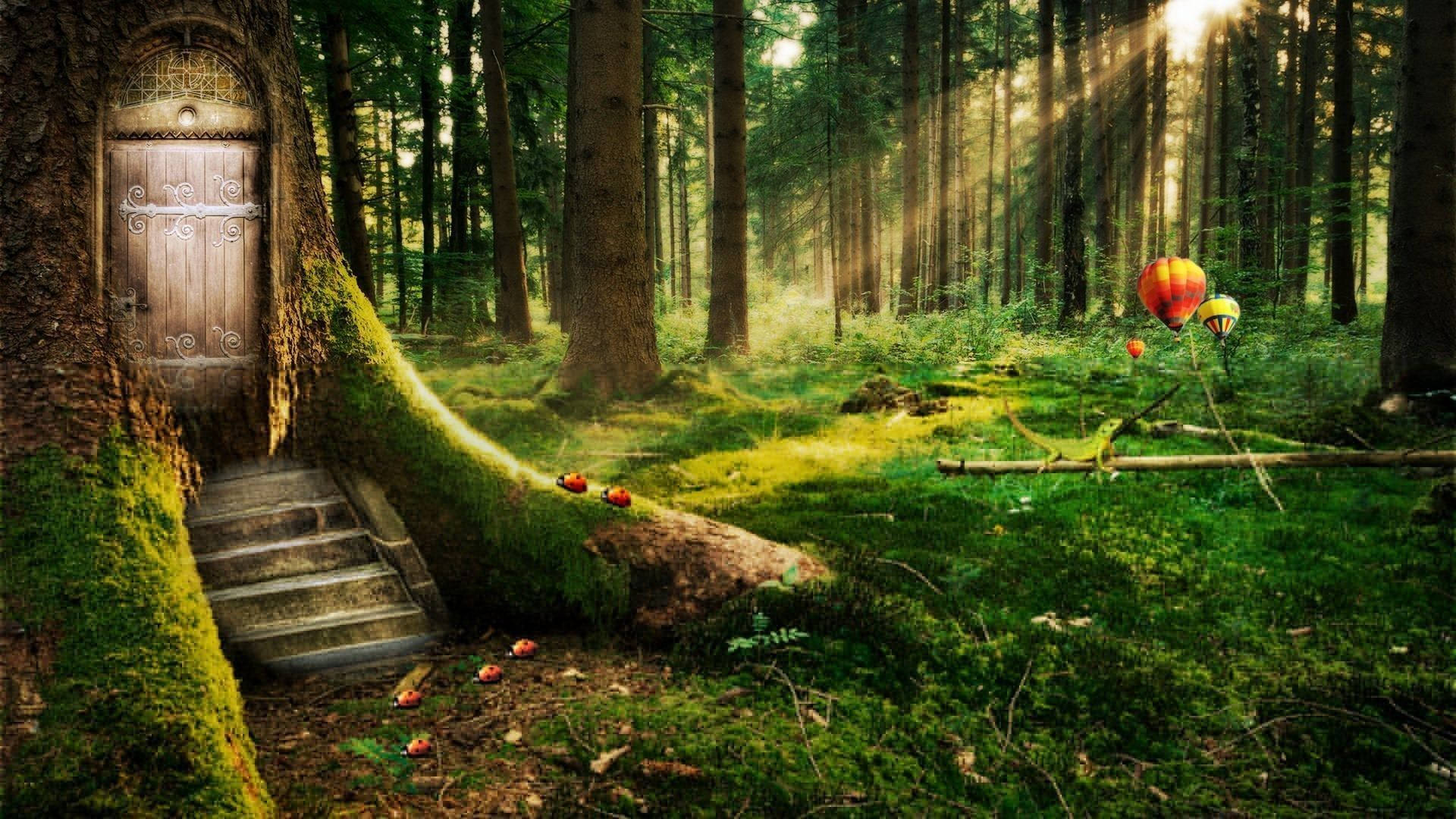 enchanted forest, wooden door, tree trunk, Full HD Desktop Wallpaper