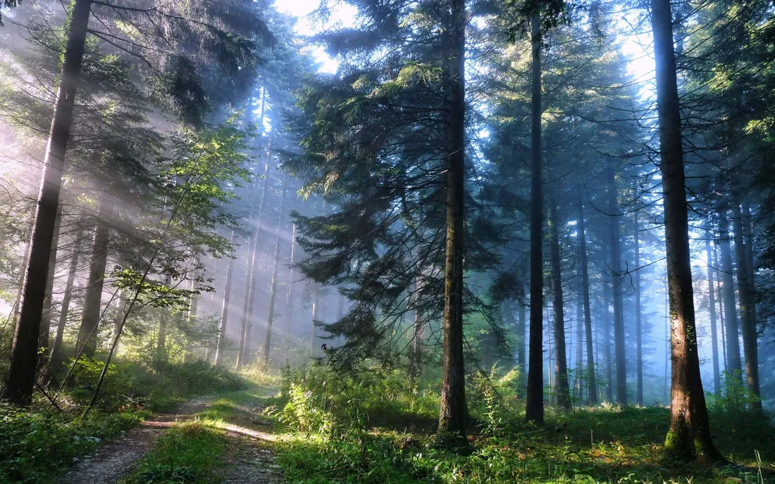 Enchanting