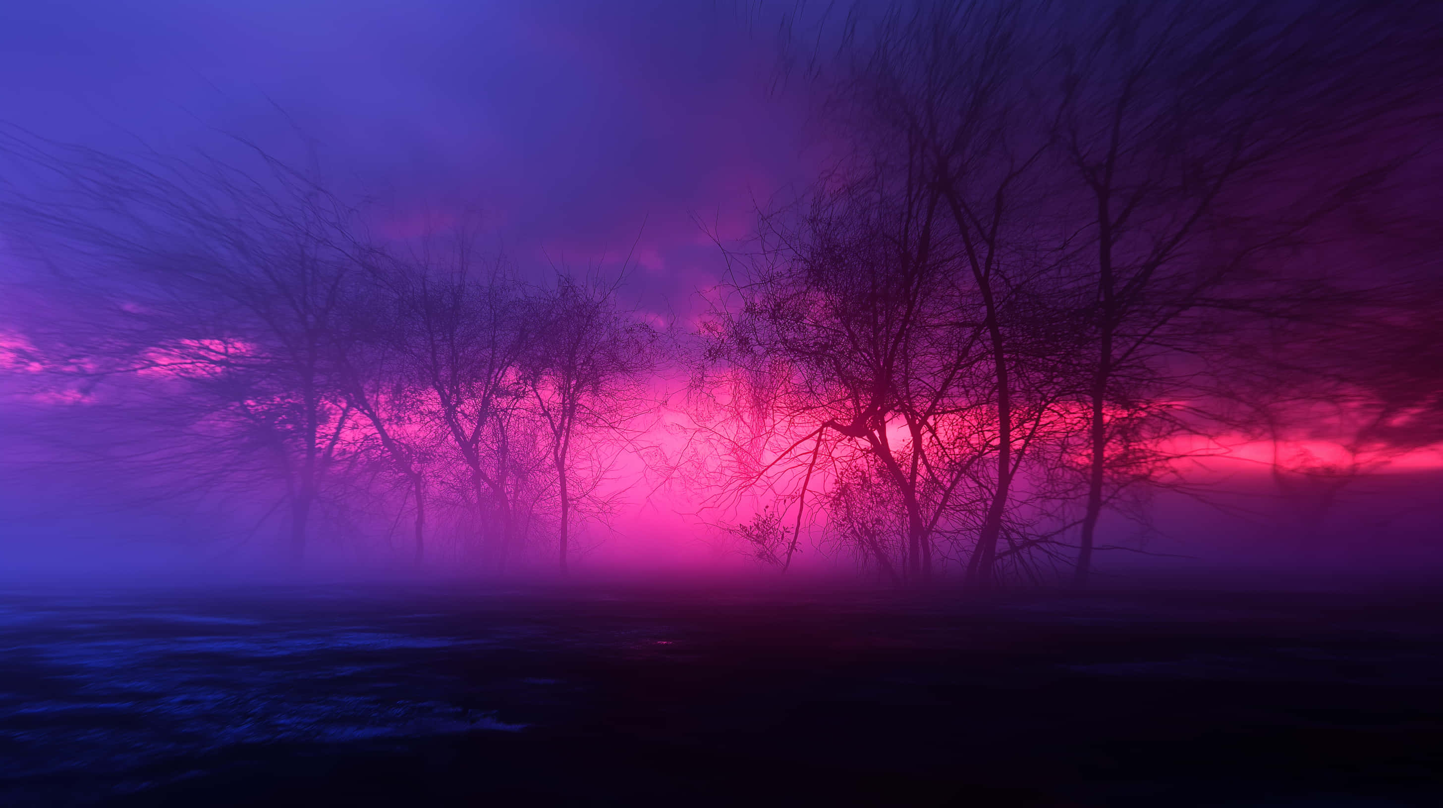 mysterious forest landscape, deep pink and purple hues, silhouetted trees, 2K Desktop Wallpaper