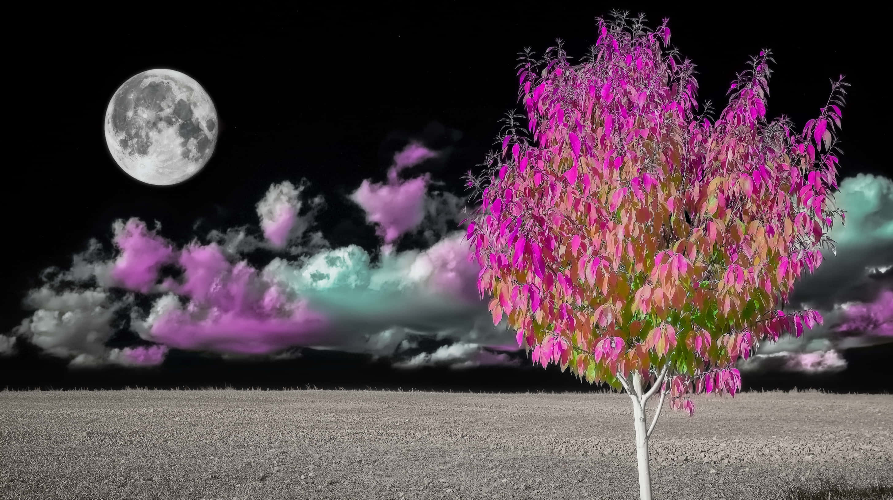 autumn moonlit meadow, full moon, purple and teal clouds, 2K Desktop Wallpaper