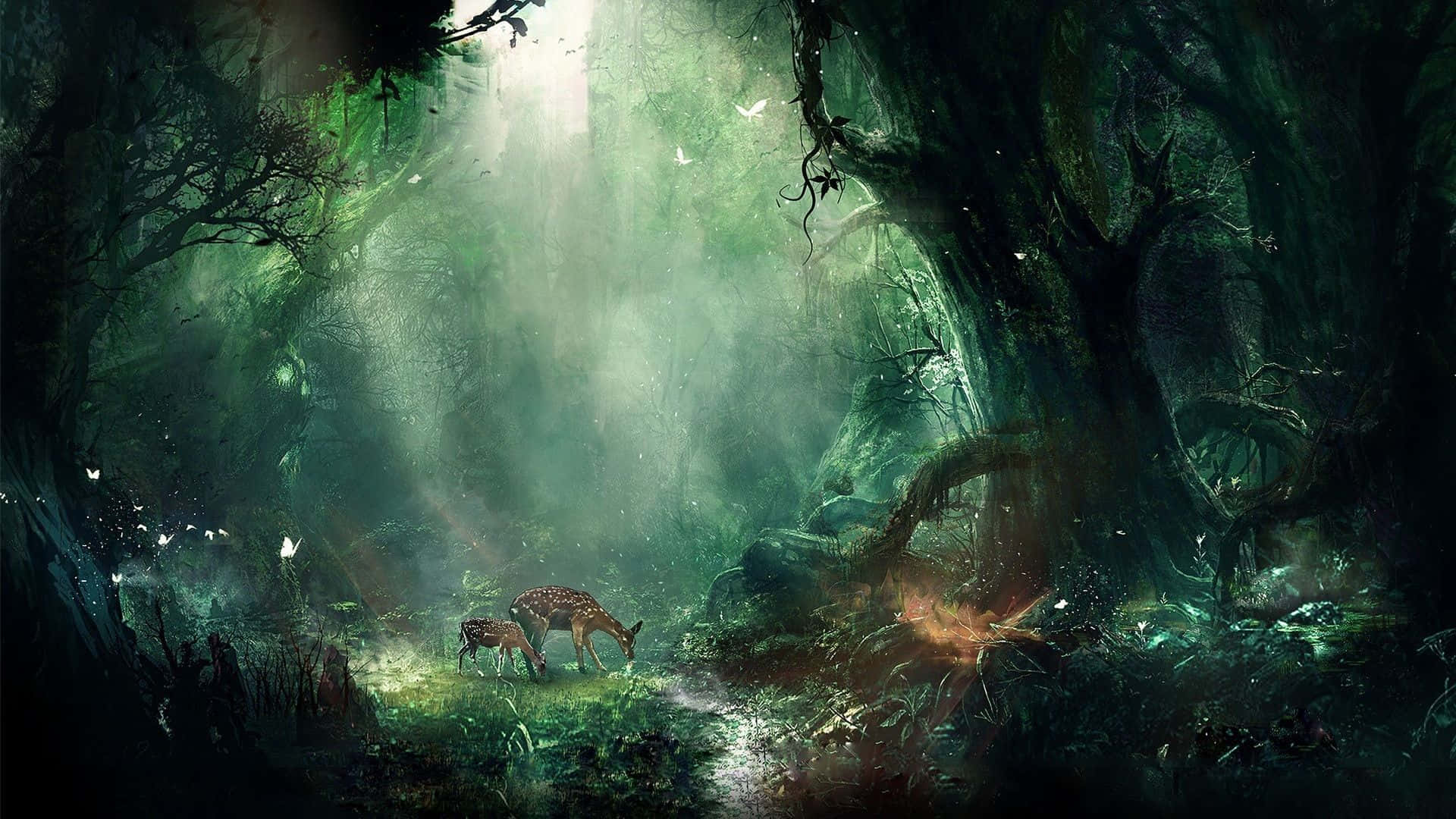 Enchanting, forest path, ancient mossy trees, Full HD Desktop Wallpaper