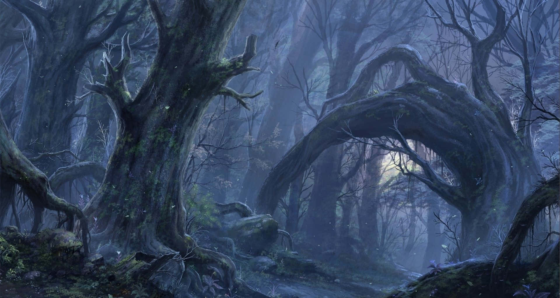 Enchanting, 1920 x 1022, forest pathway, Full HD Desktop Wallpaper
