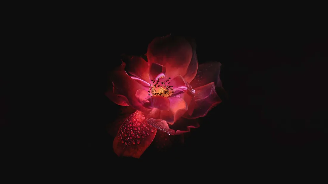 Enchantment