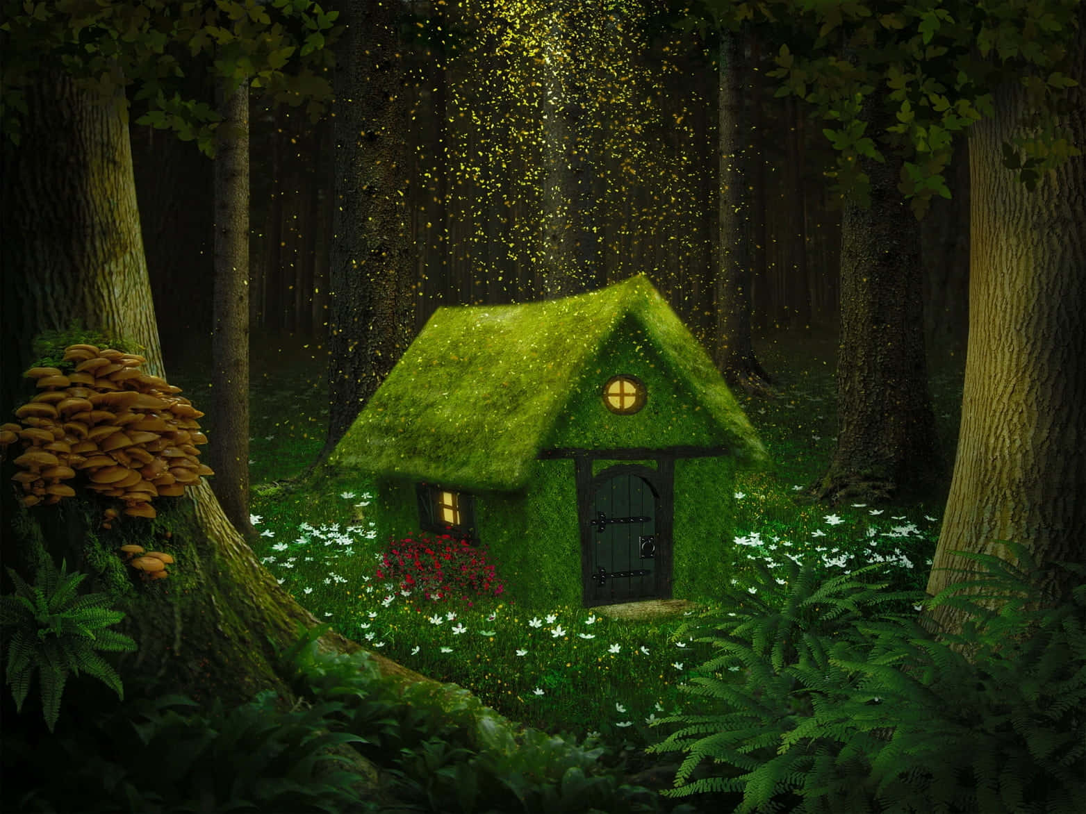 Enchanted Forest Path, moss-covered fairy house, golden light, HD Desktop Wallpaper