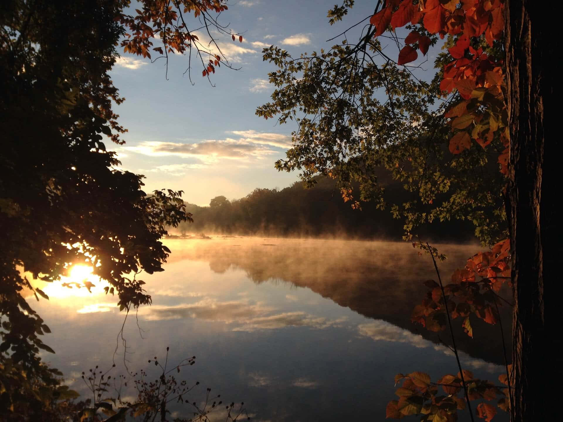 Sunrise, autumn leaves, misty river, Full HD Desktop Wallpaper