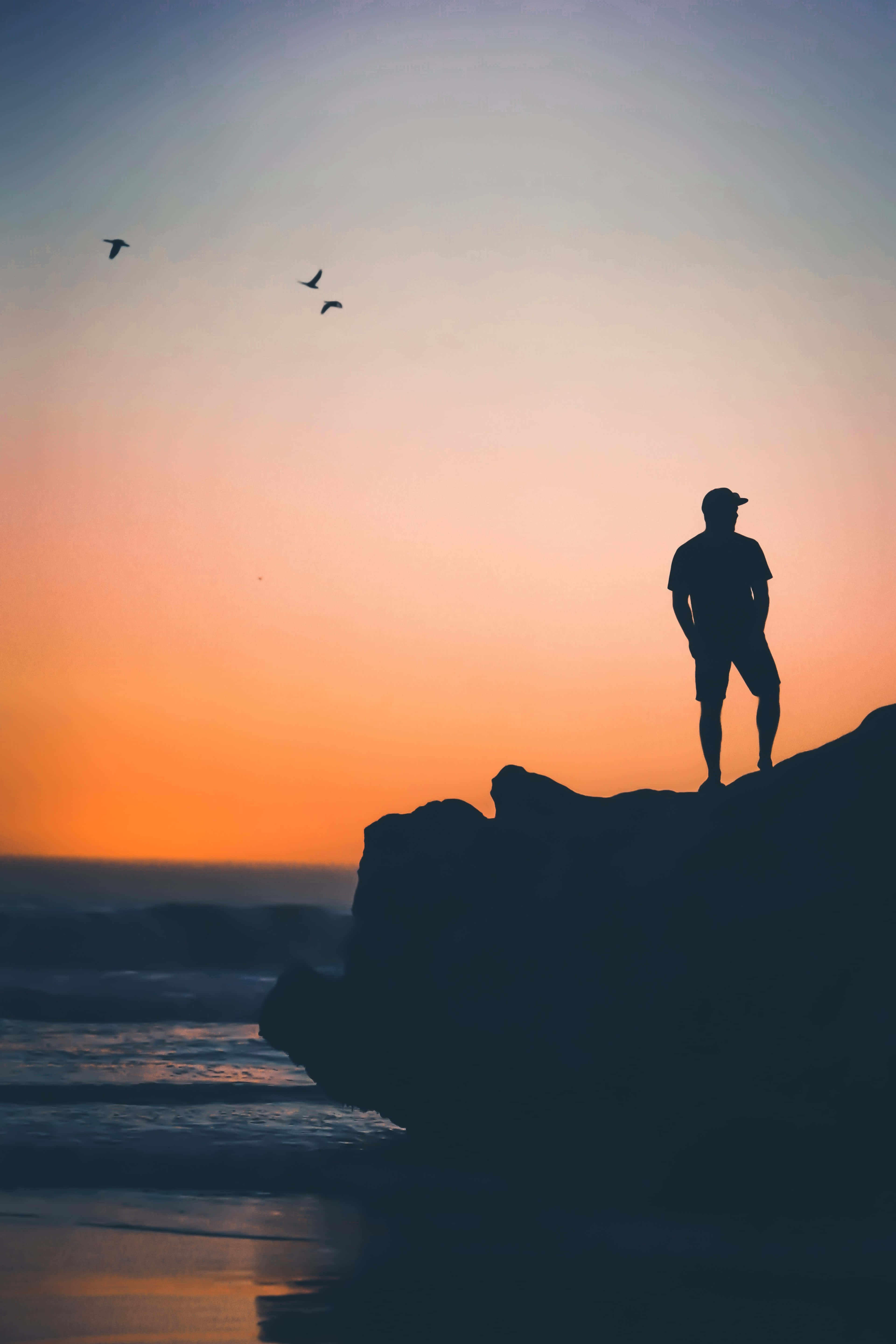 sunset, cliff, silhouette, 5K Phone Wallpaper