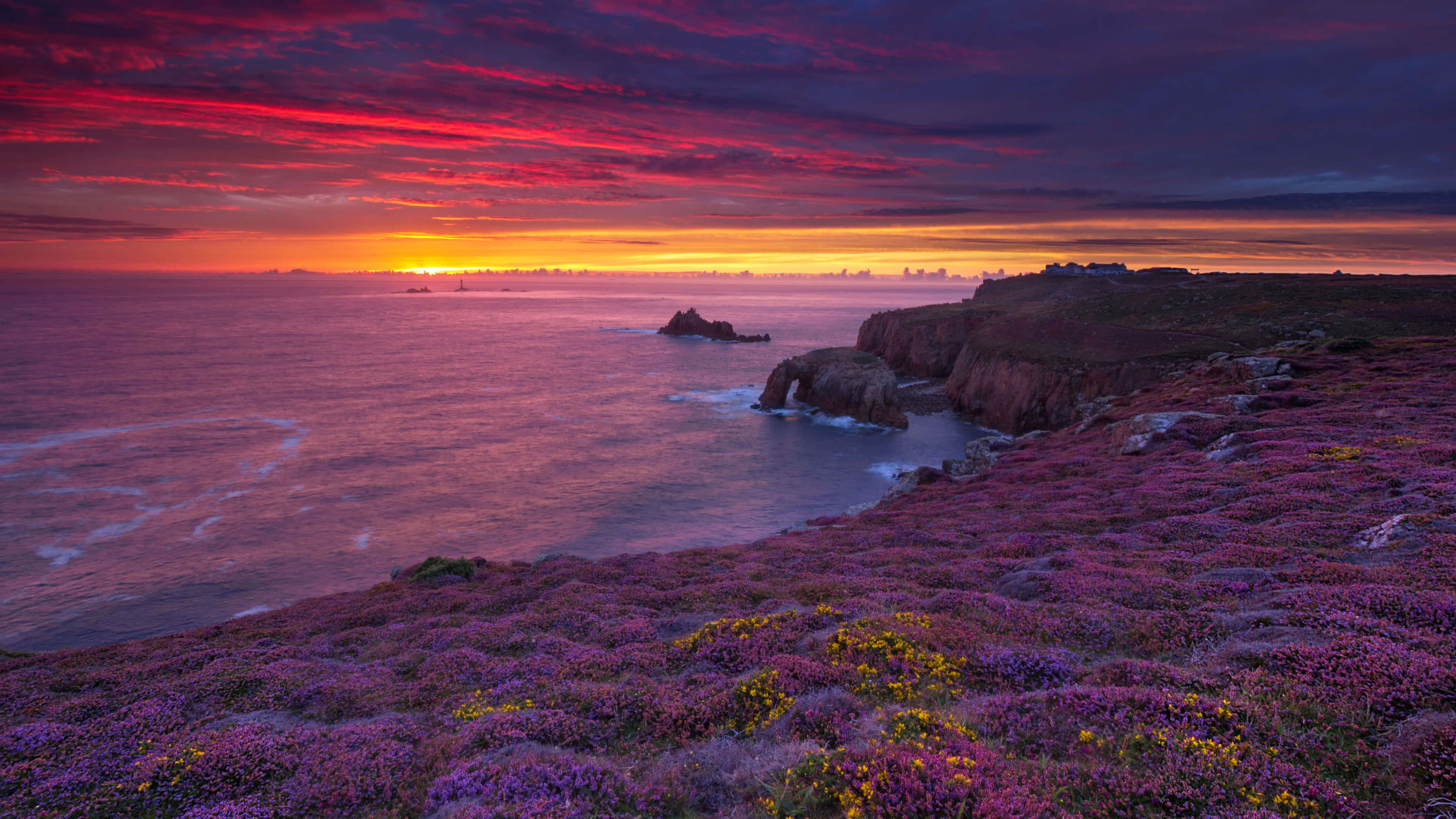 purple heather, cliffside, fiery sunset, 4K Desktop Wallpaper