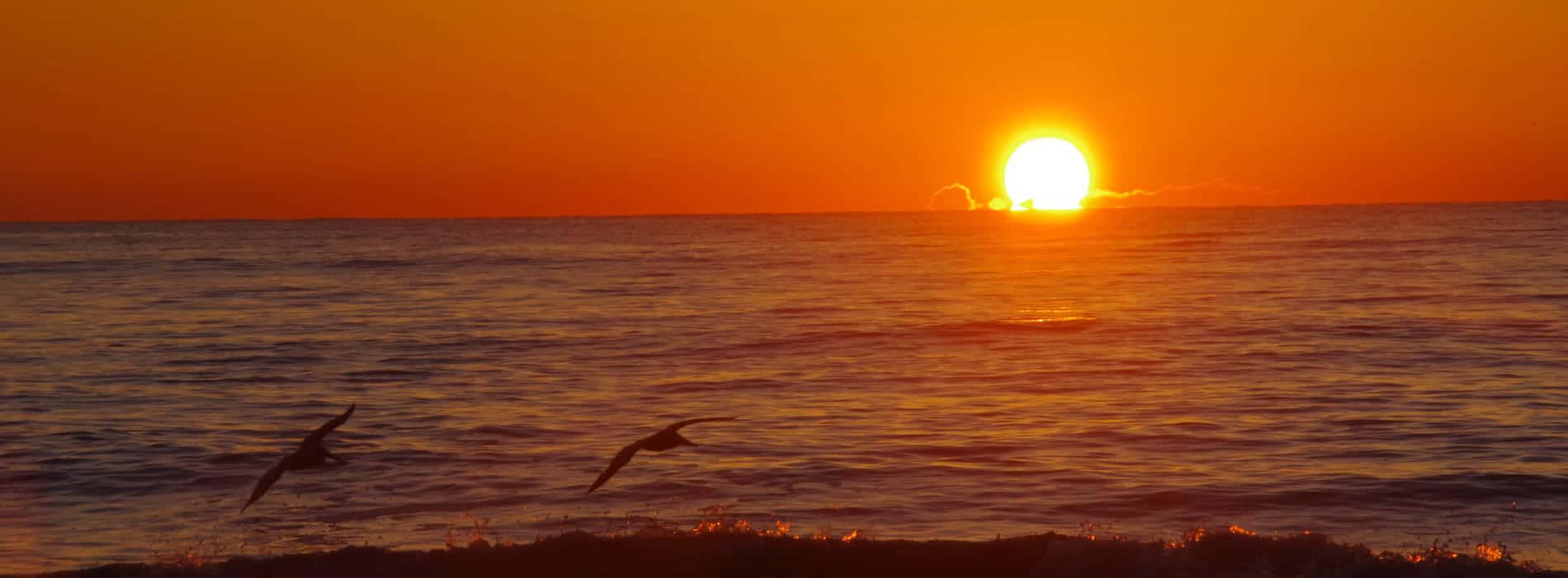 Sunset, Ocean, Beach, HD Desktop Wallpaper