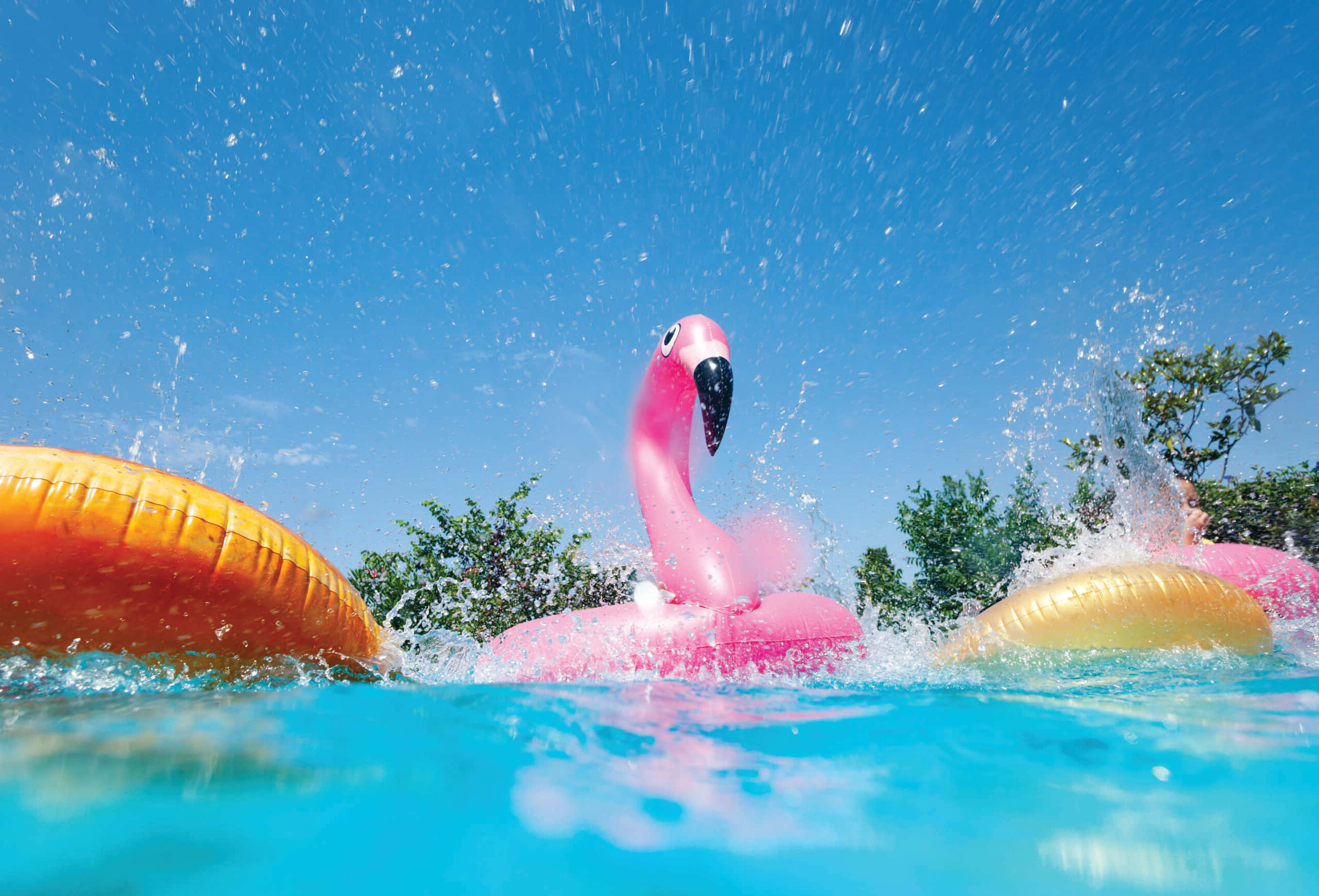 bright pink flamingo float, turquoise pool water, clear blue sky, 2K Desktop Wallpaper