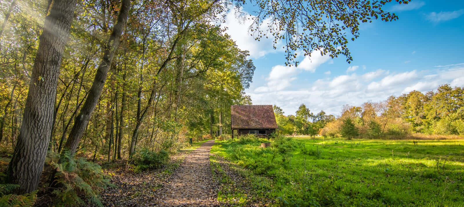 End Of Summer, wooden cabin, forest, HD Desktop Wallpaper