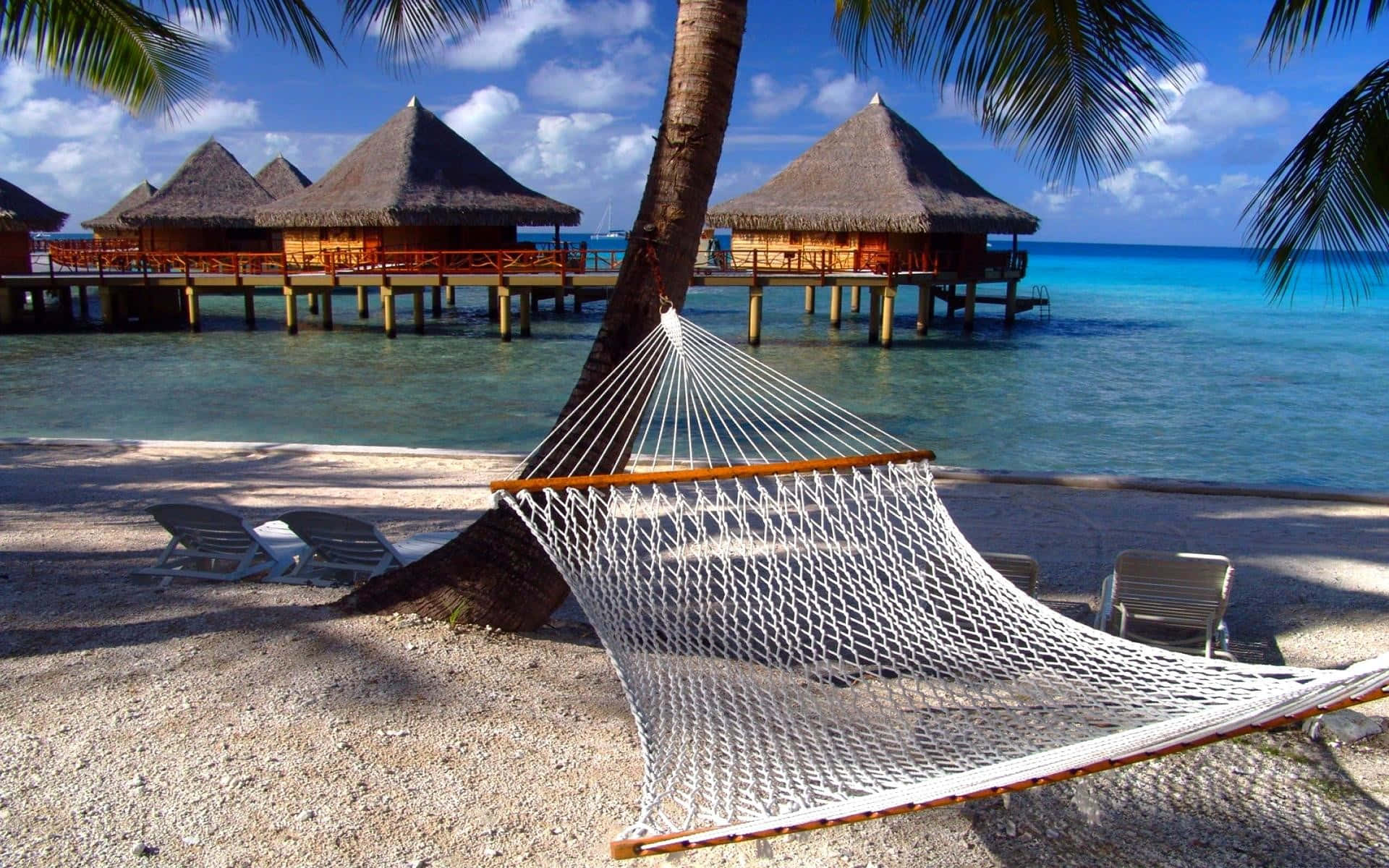 white hammock, palm tree, sandy beach, Full HD Desktop Wallpaper