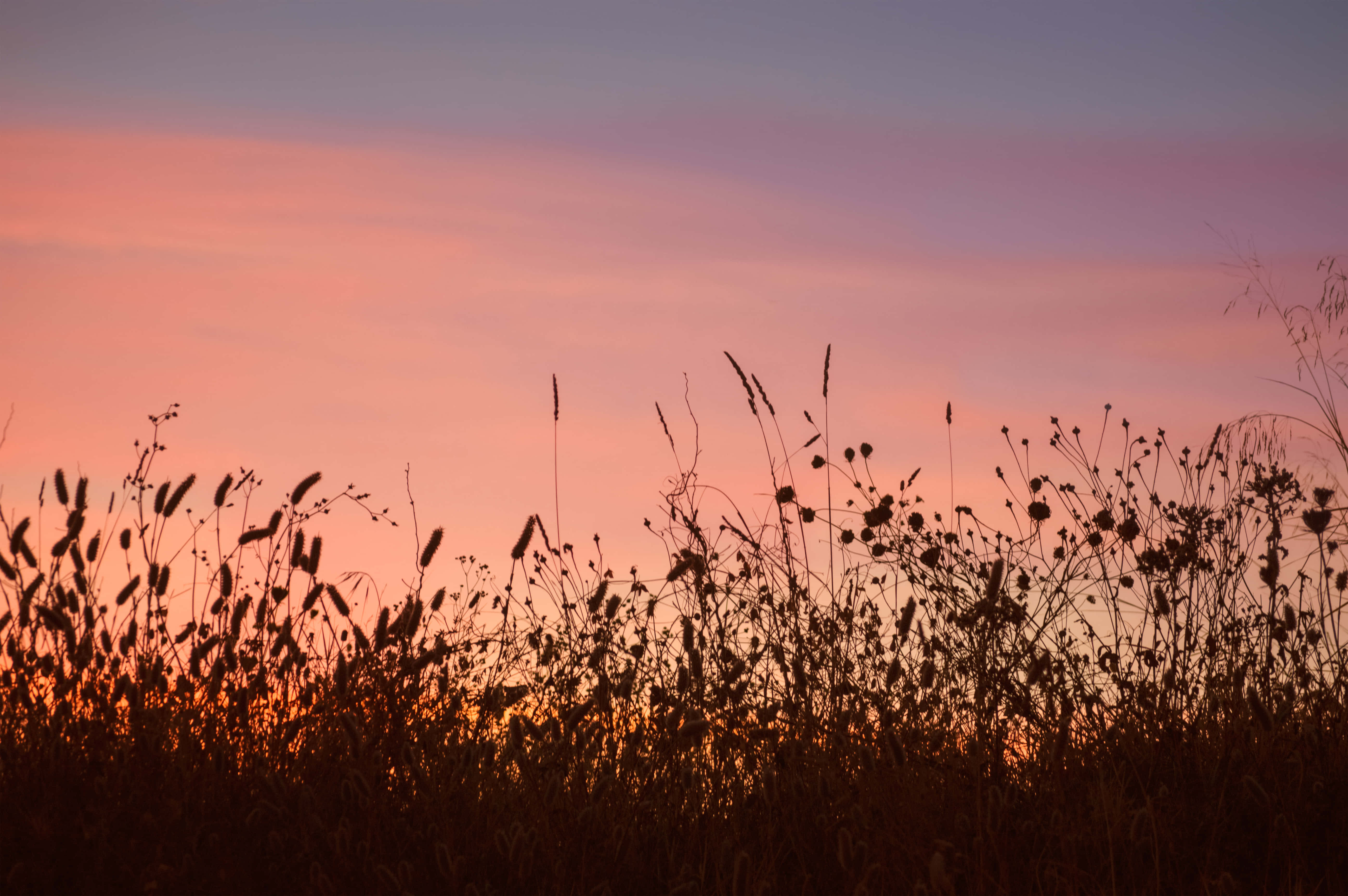 Sunset, pink orange, purple, 5K Desktop Wallpaper