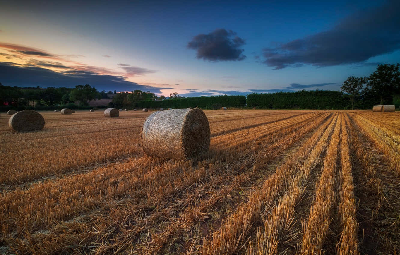 End Of Summer, twilight sky, golden hay bales, HD Desktop Wallpaper