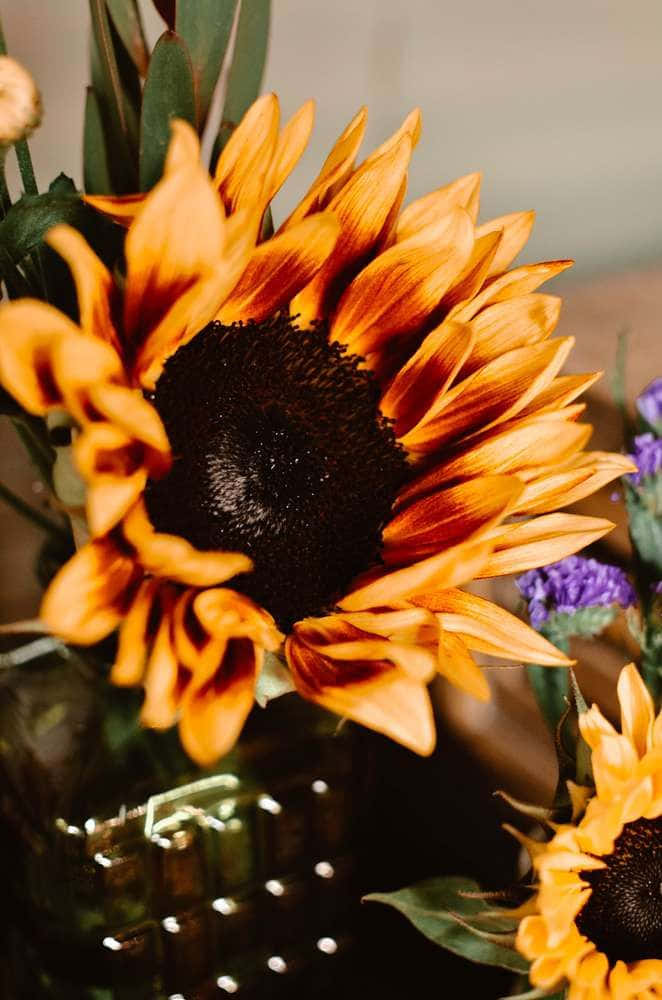 sunflower, orange, glass vase, SD Phone Wallpaper
