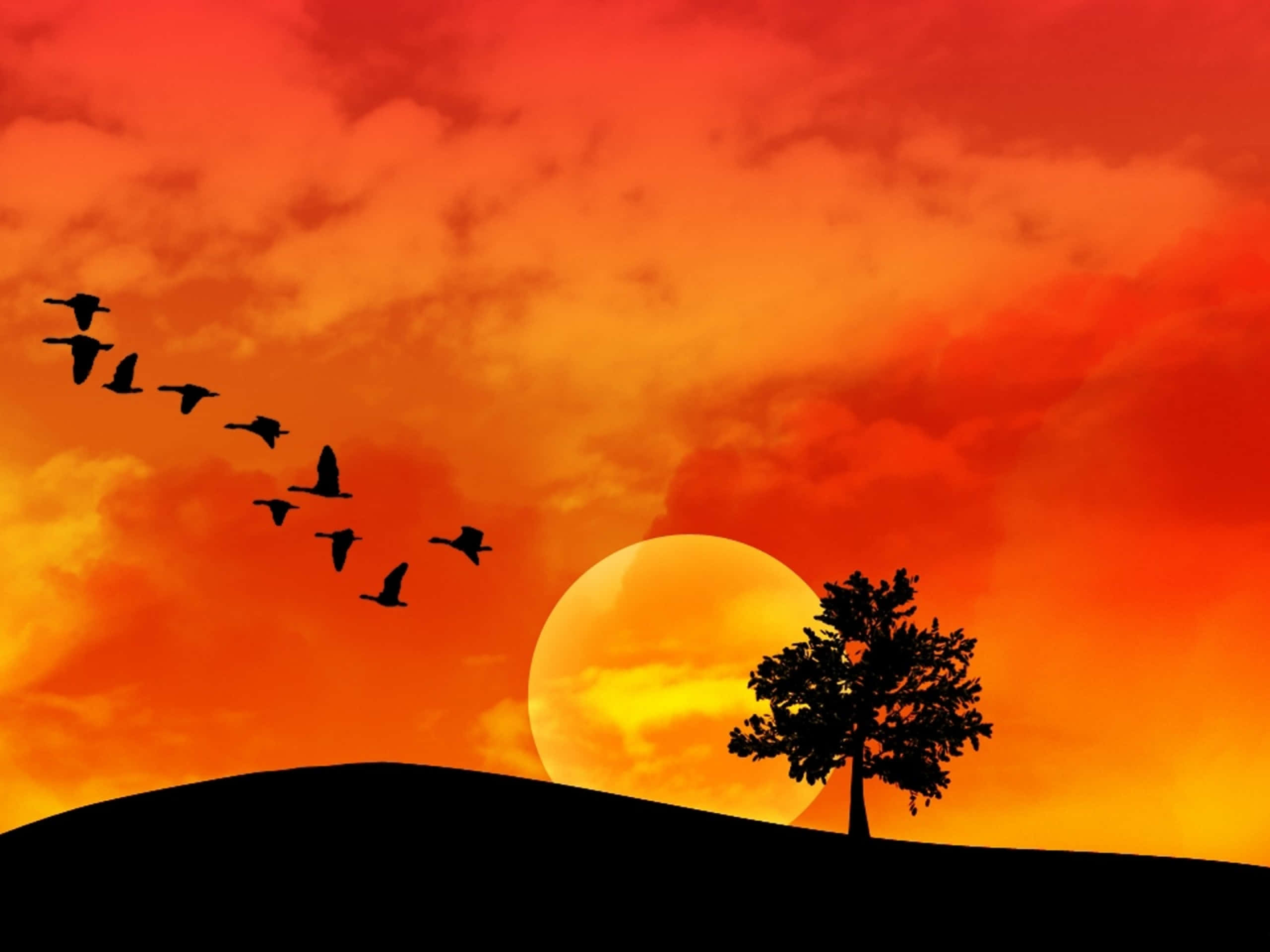 End Of Summer, sunset, fiery orange, 2K Desktop Wallpaper