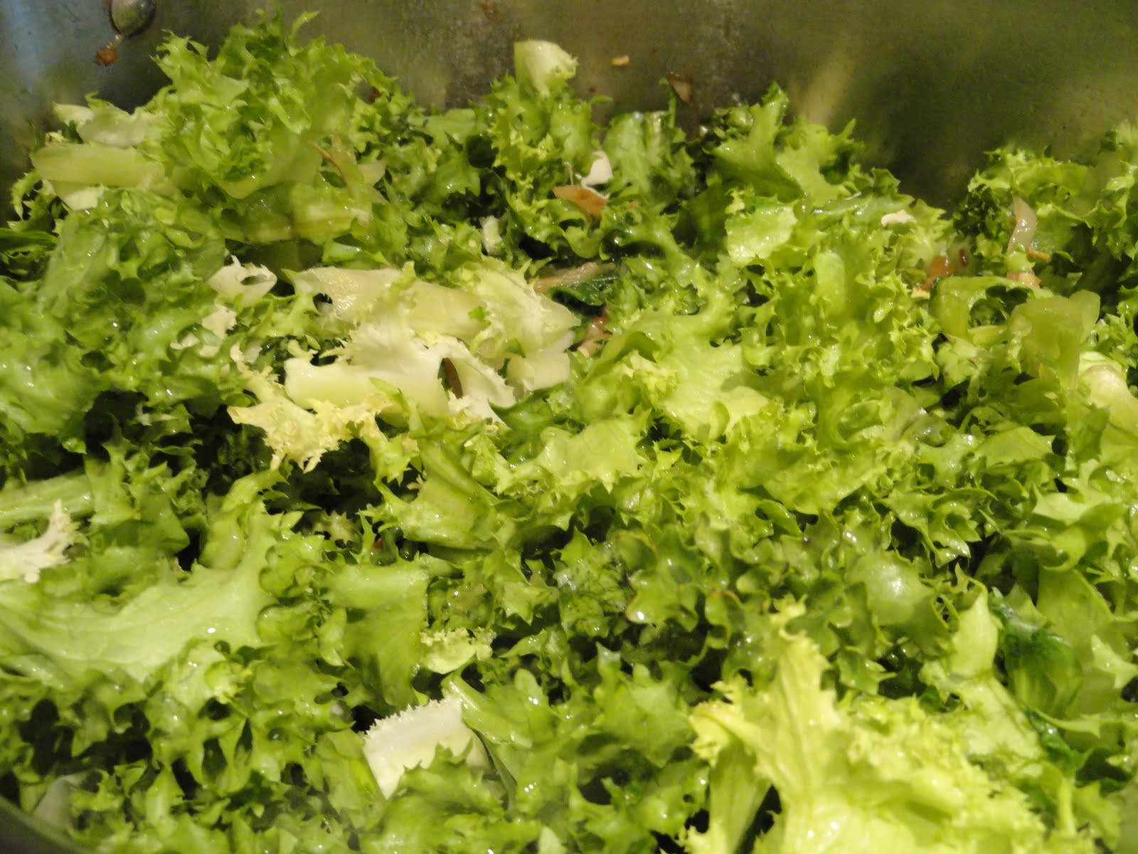 curly endive, vegetable salad, fresh crisp green lettuce, HD Desktop Wallpaper