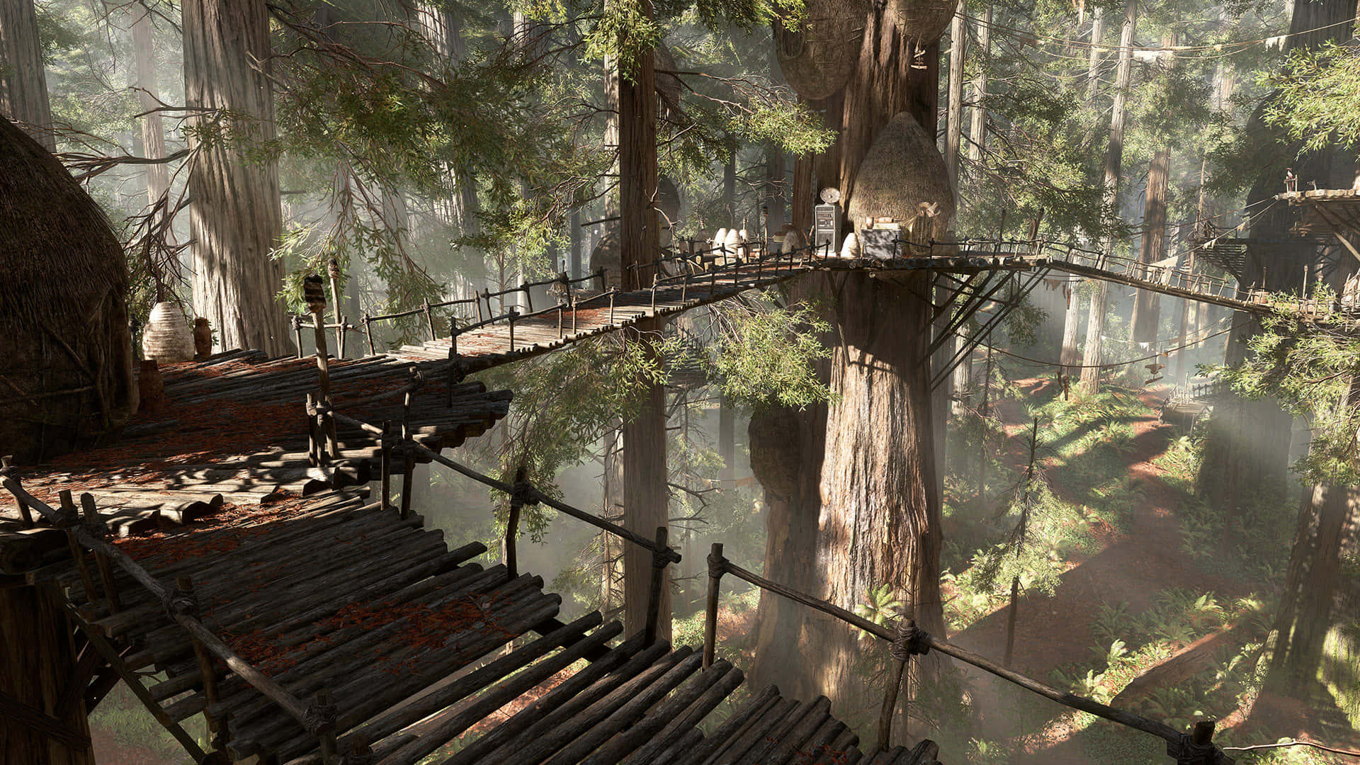 Endor, redwoods, rustic wooden treehouse village, Full HD Desktop Wallpaper