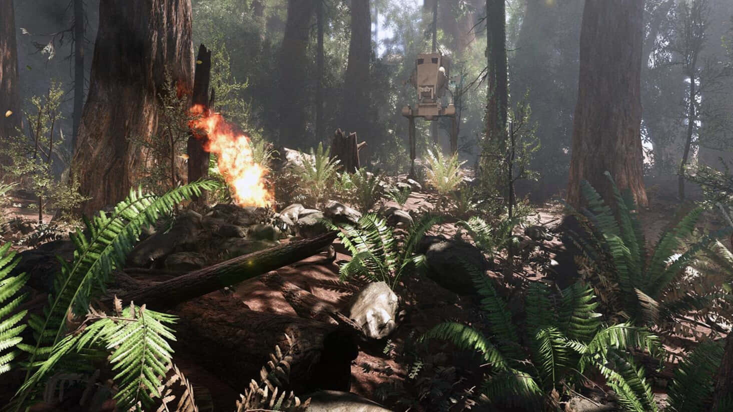 Endor, droid, dense forest, HD Desktop Wallpaper
