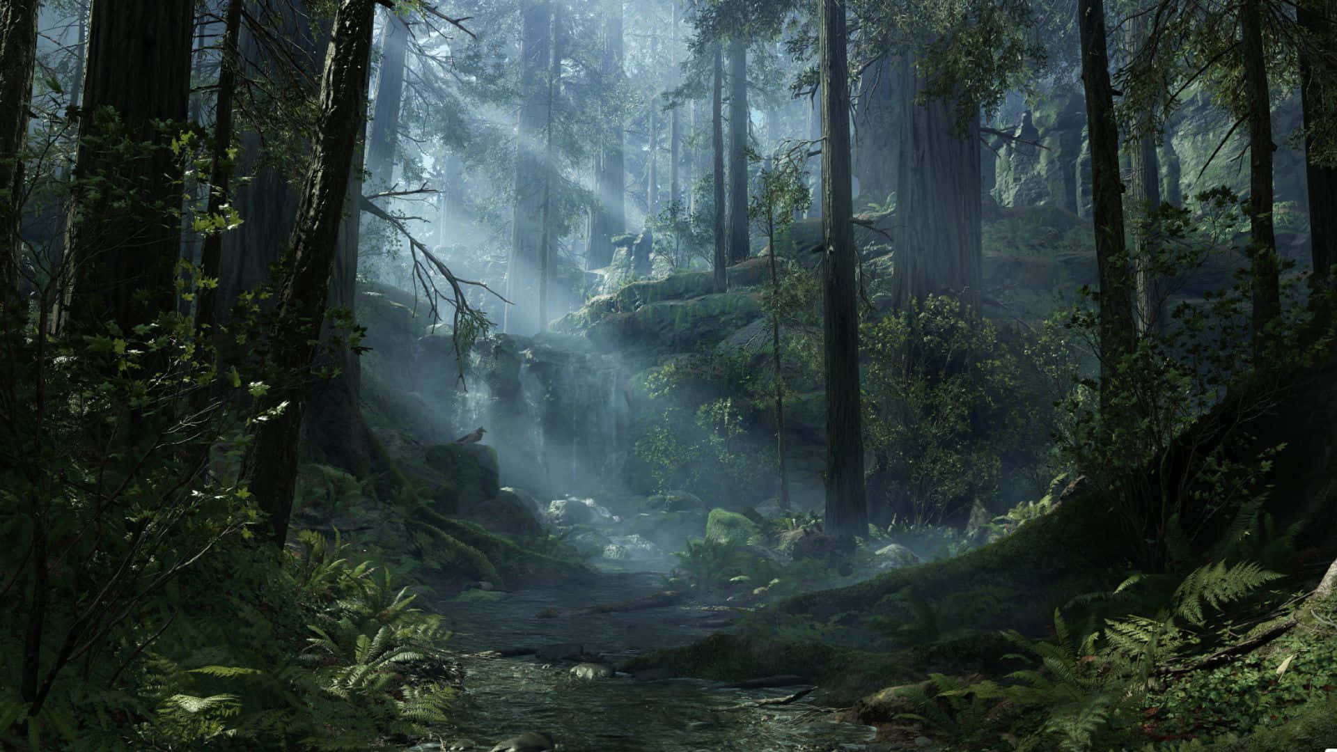 Endor, Sunlight, misty forest, Full HD Desktop Wallpaper